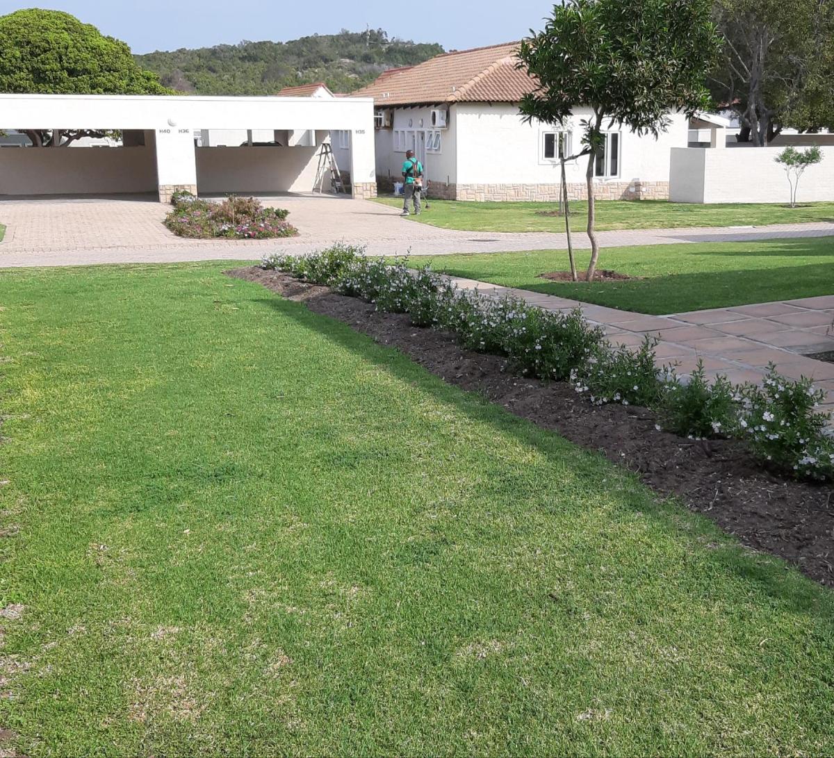 Photo 47