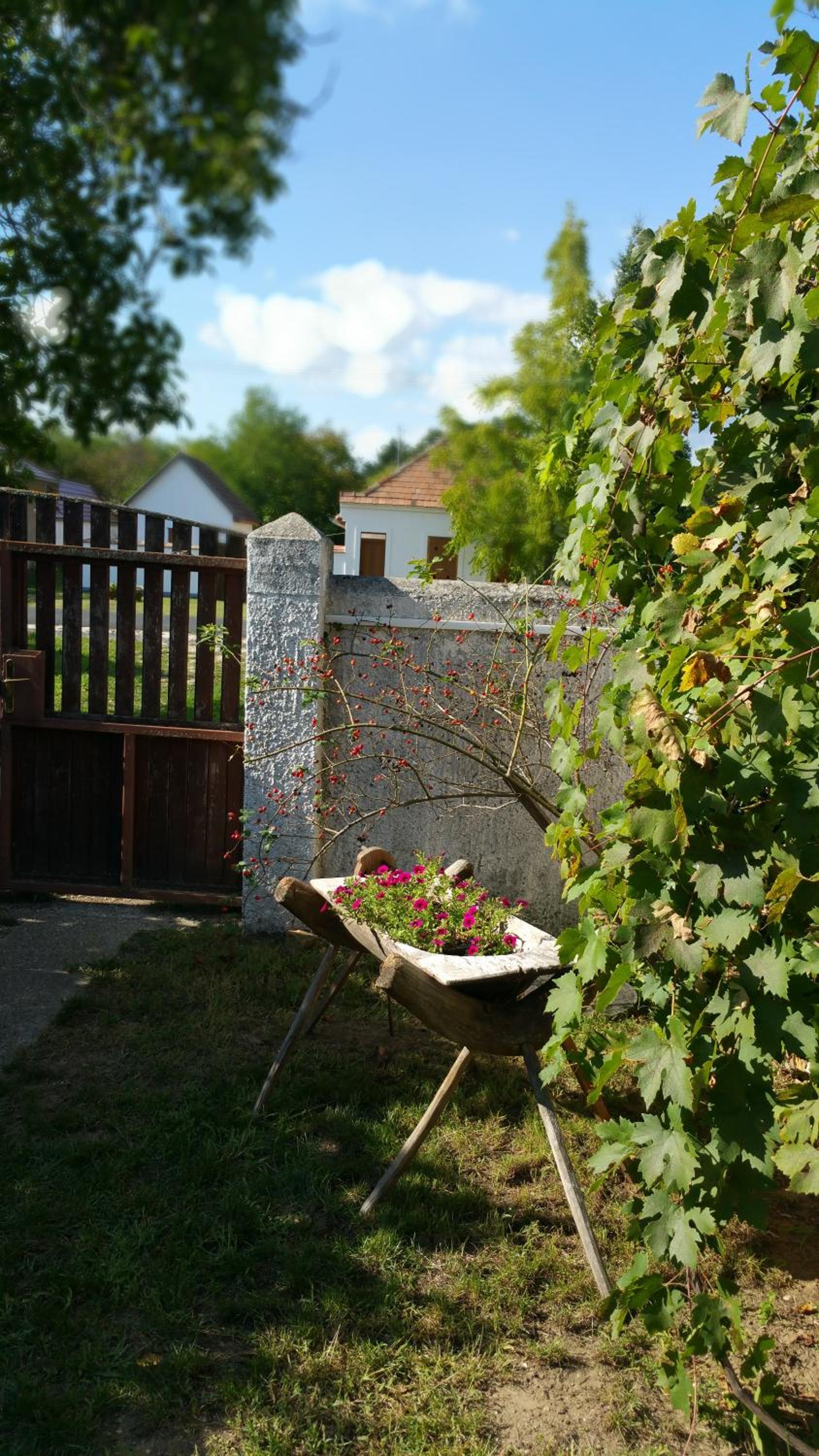 Photo 32
