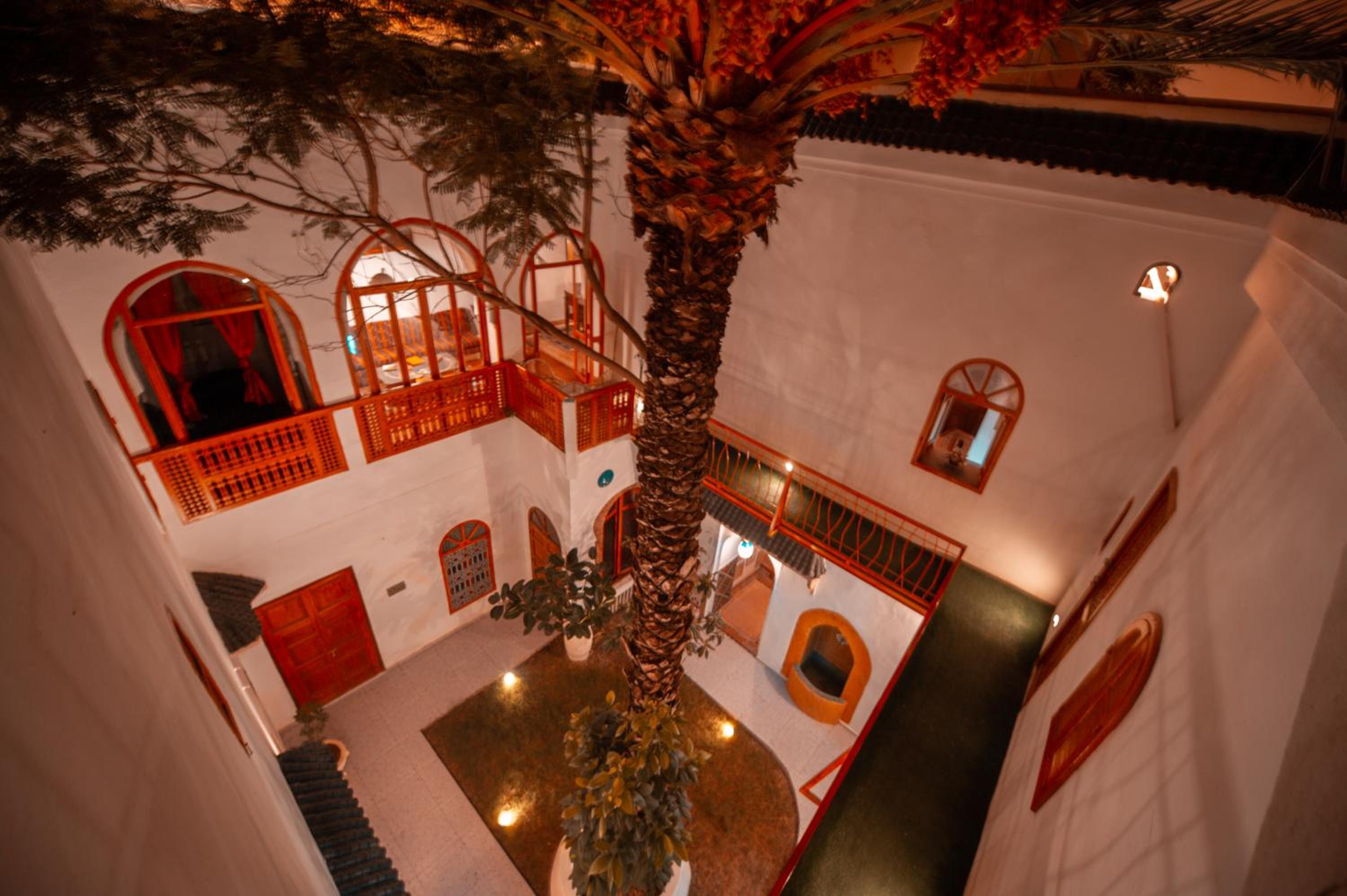 Riad O LY
