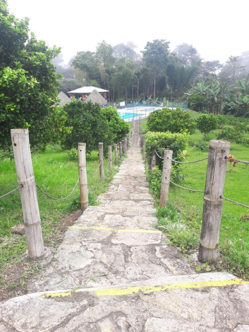 Las Mercedes Finca Cafetera