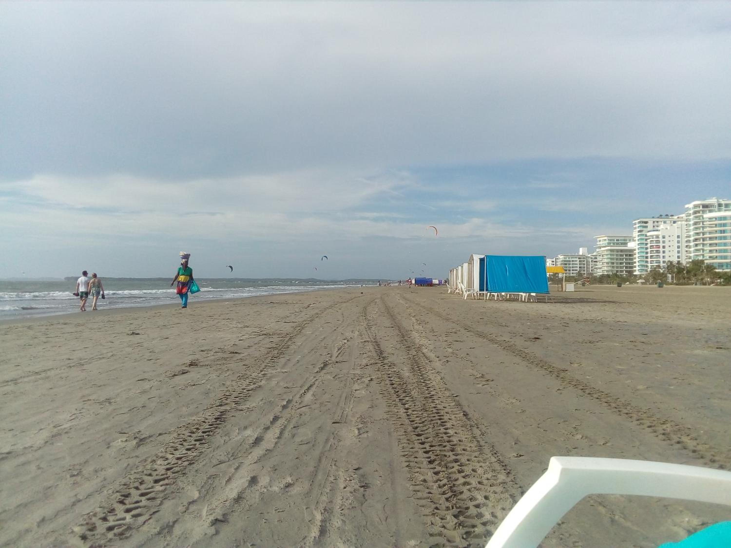 JUNTO AL MAR Y EL MANGLAR