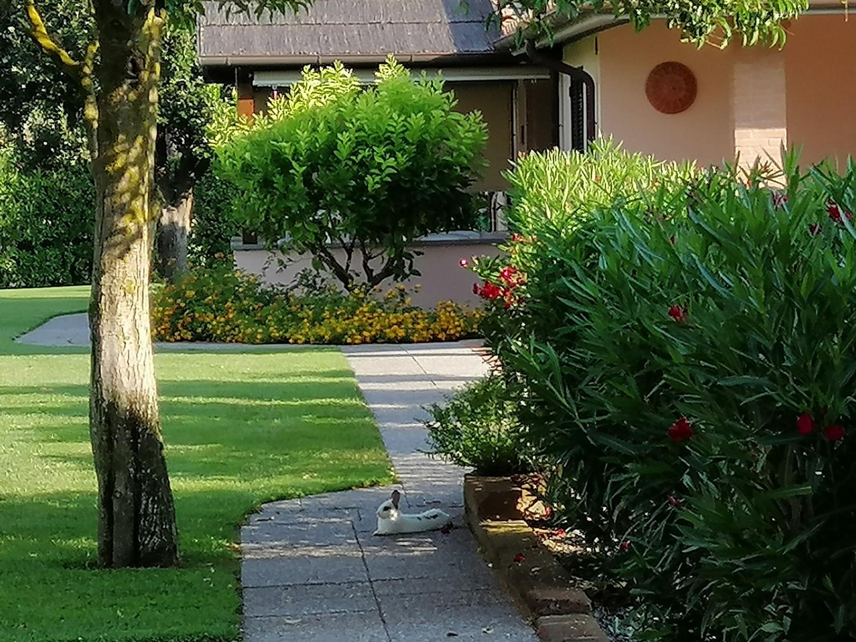 Agriturismo Bocci