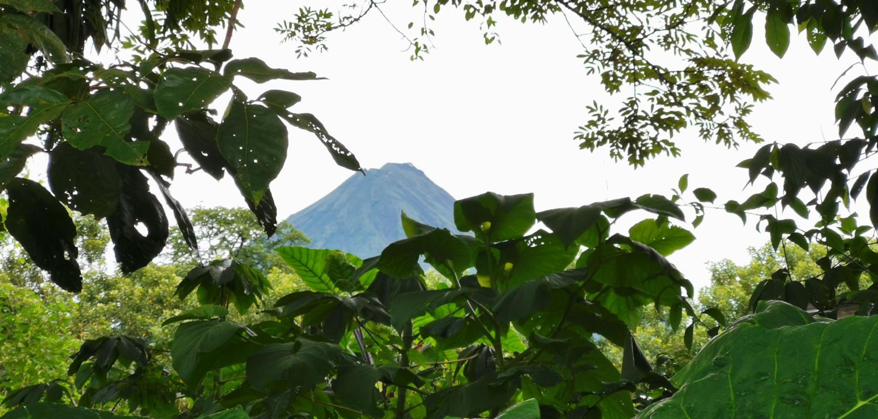 Hotel Campestre Arenal