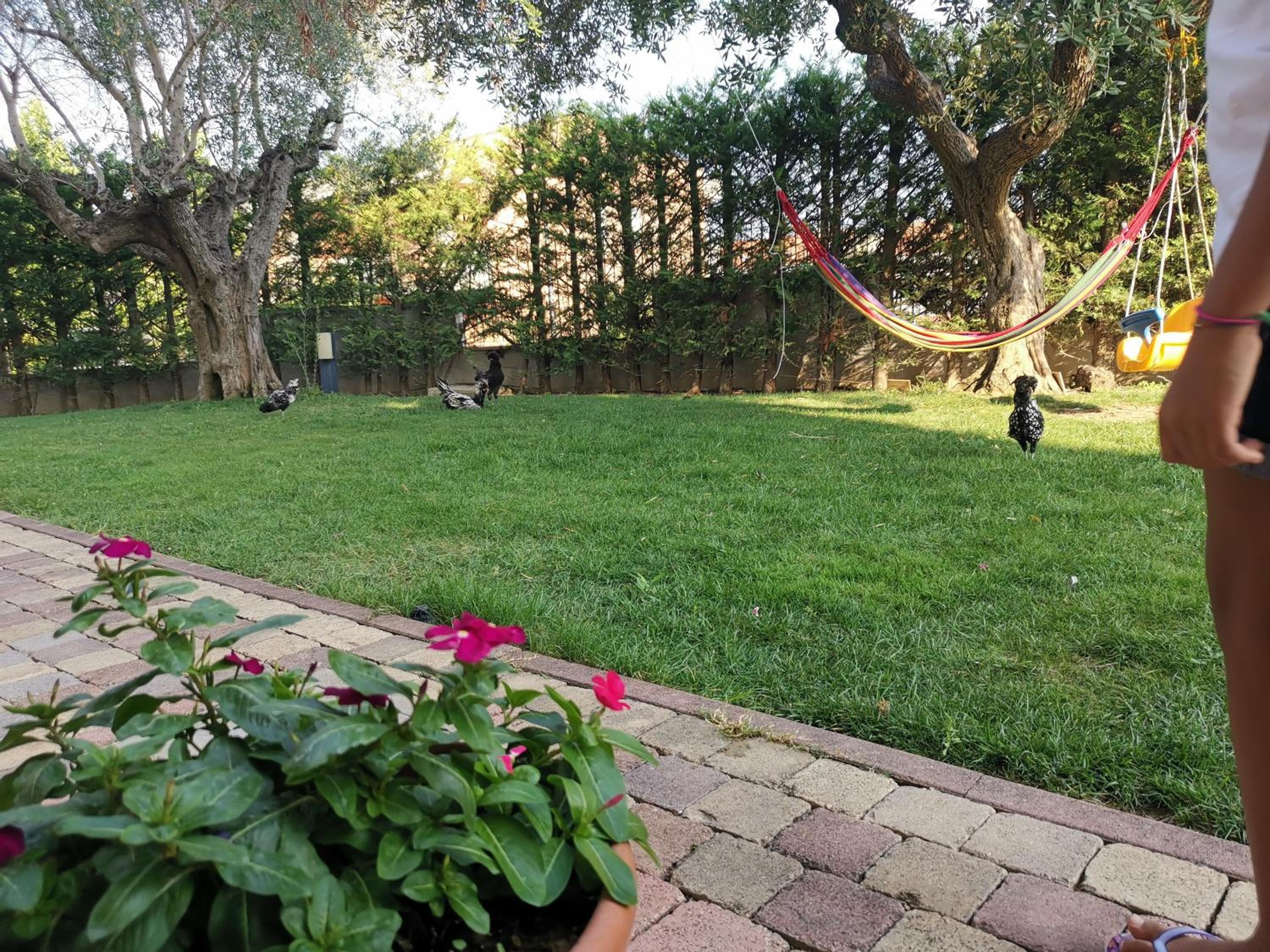 Residenza Sant'Angelo photo 3