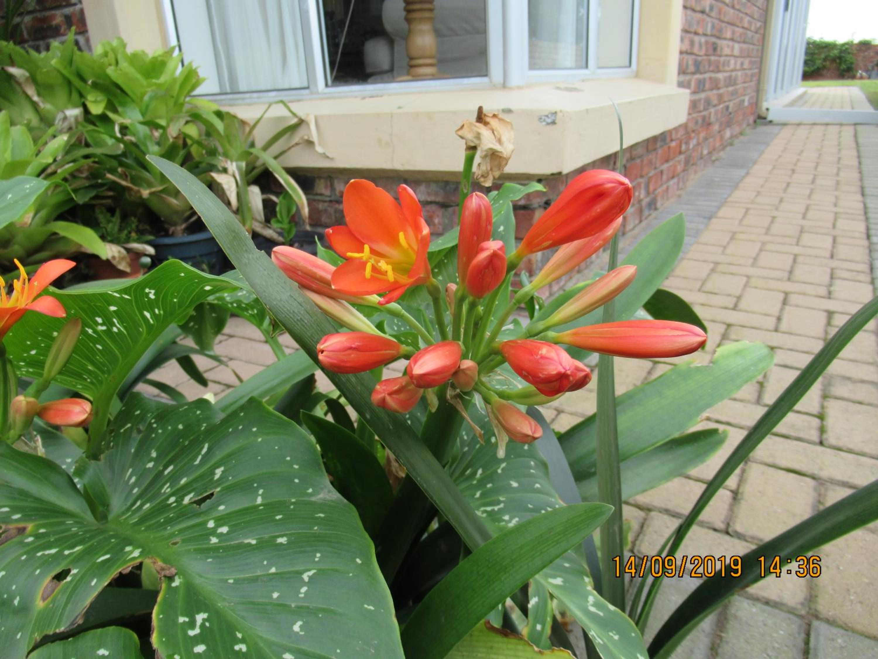 Photo 33