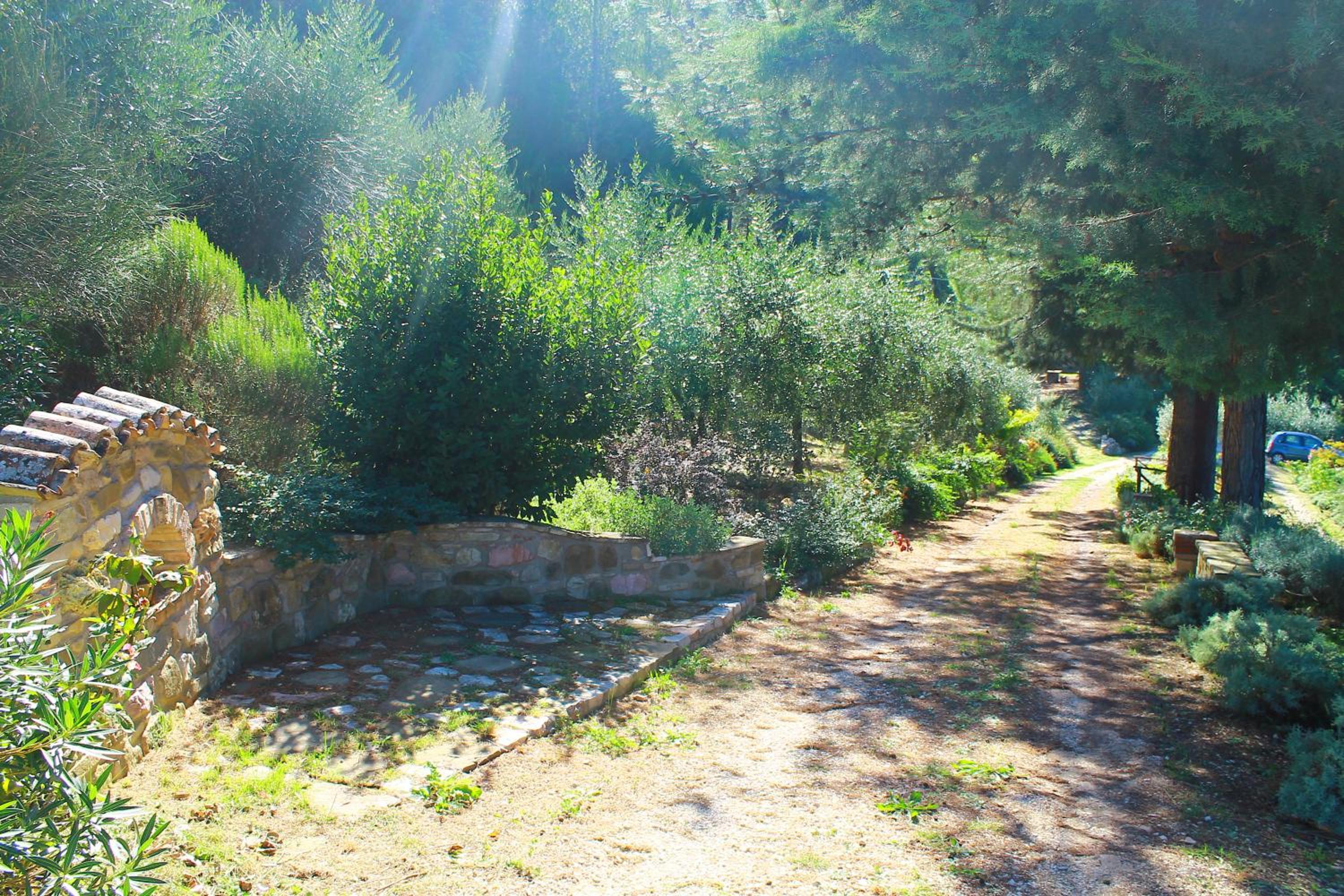 Photo 35