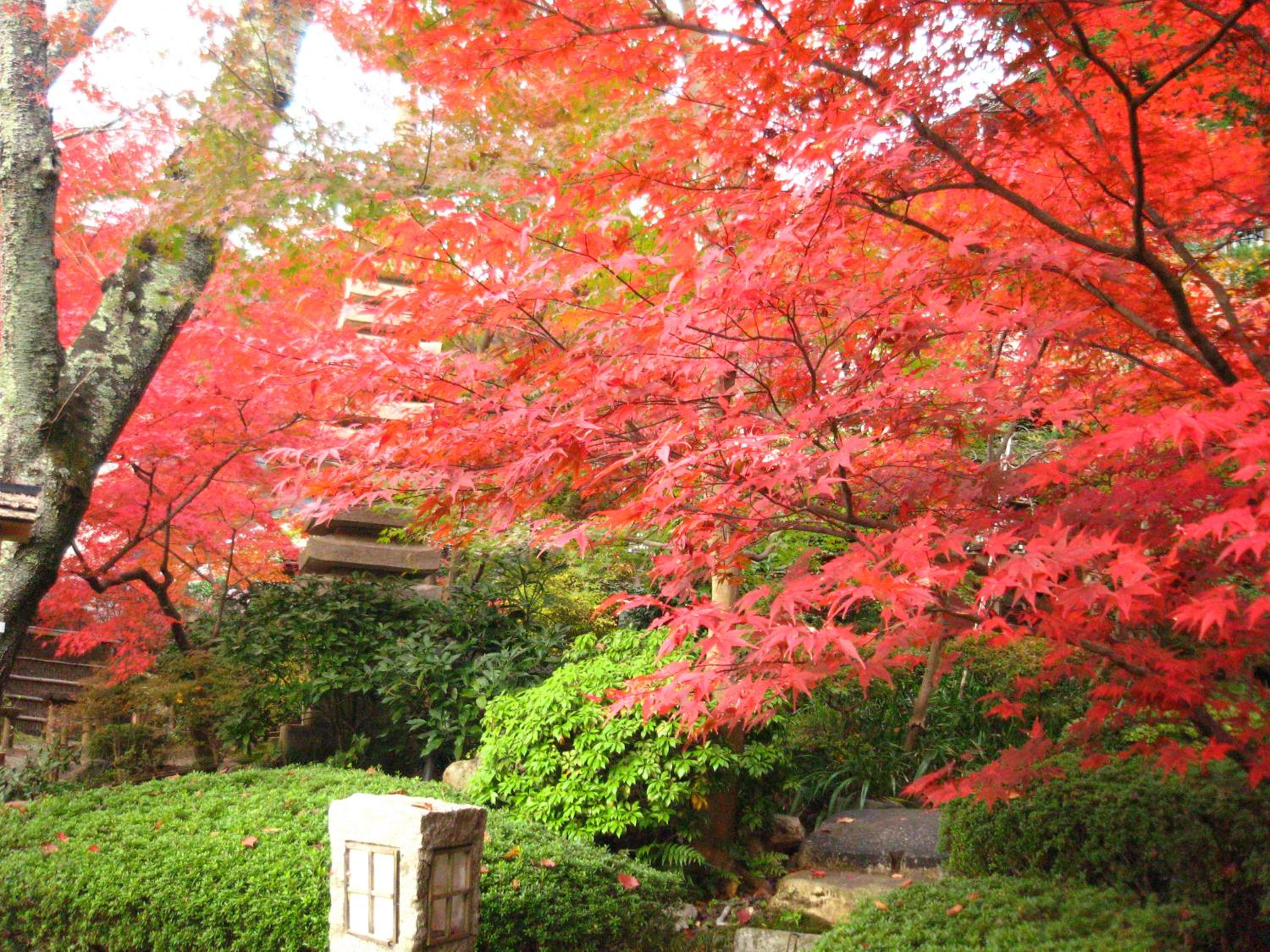 Photo 35