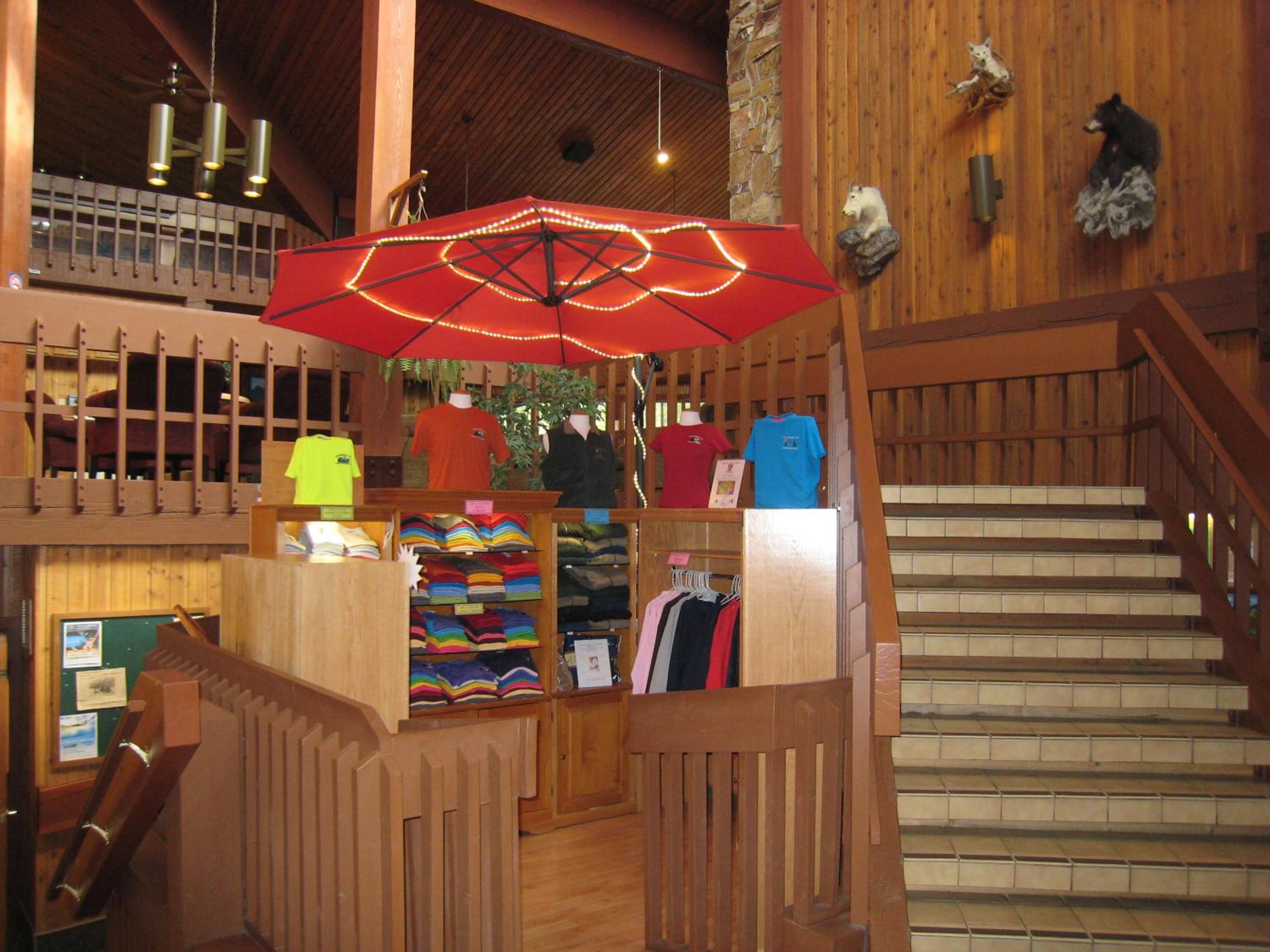 Photo 24