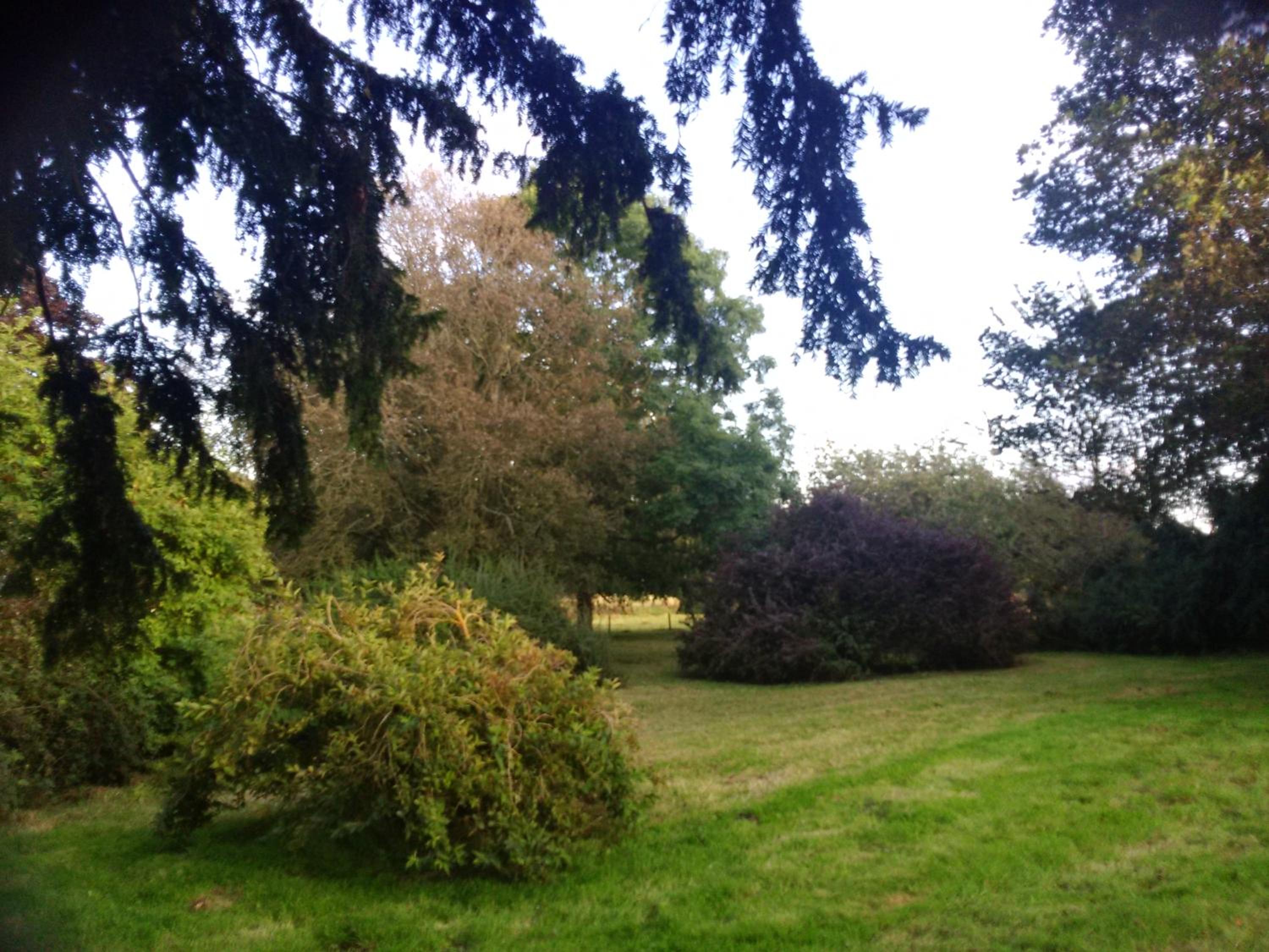 Disblair House view 2