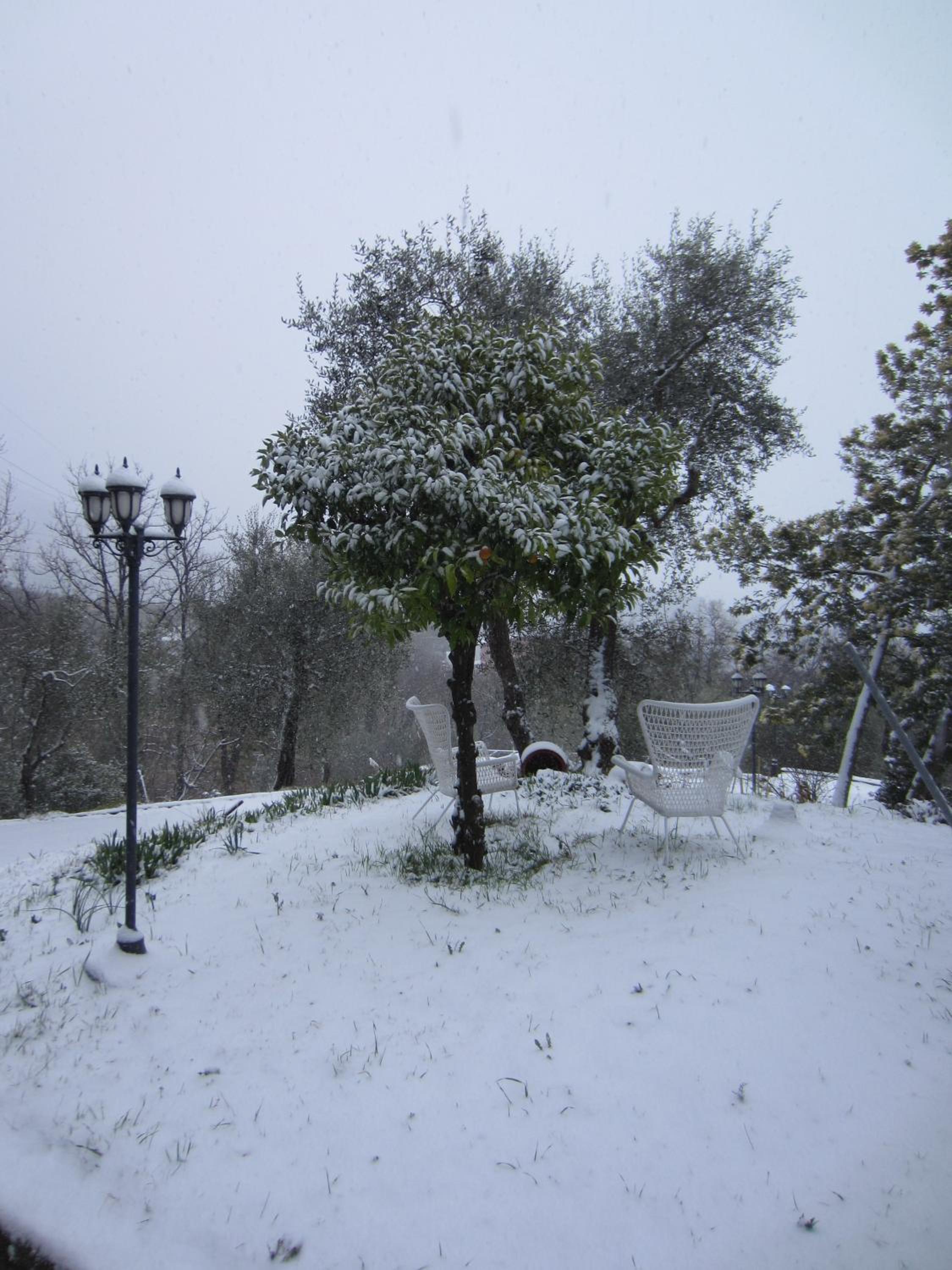 Photo 14