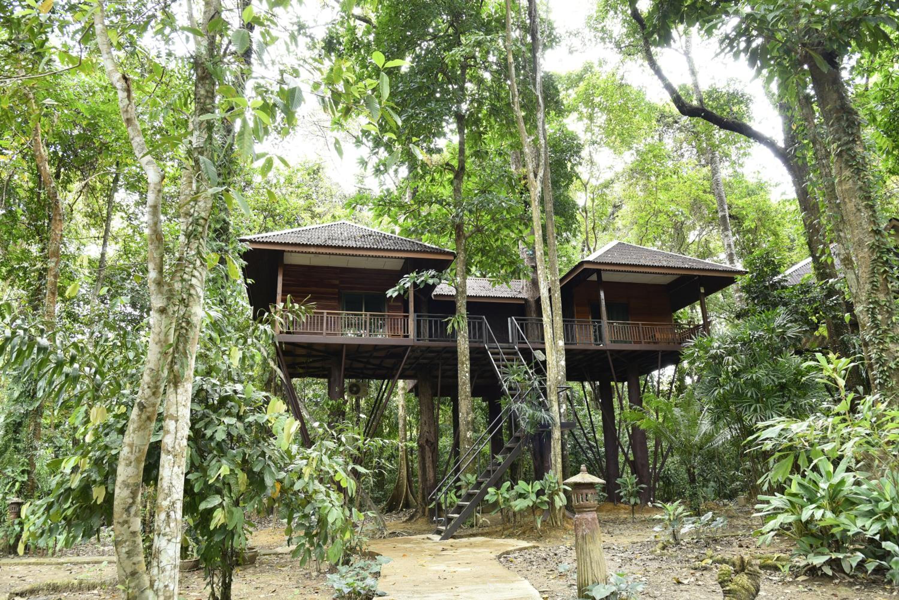 Khao Sok Nature Resort