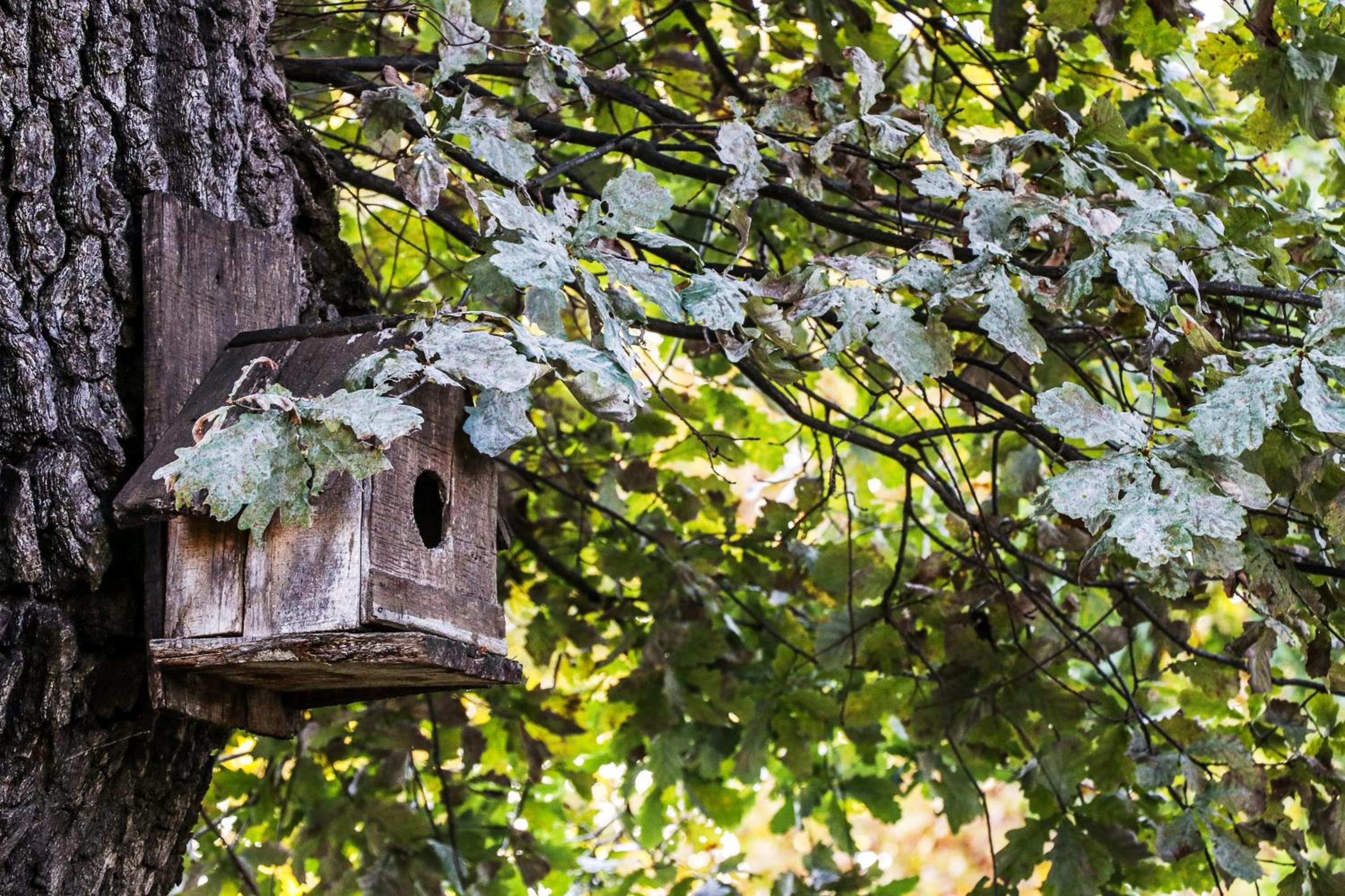Nature Guesthouse view 3