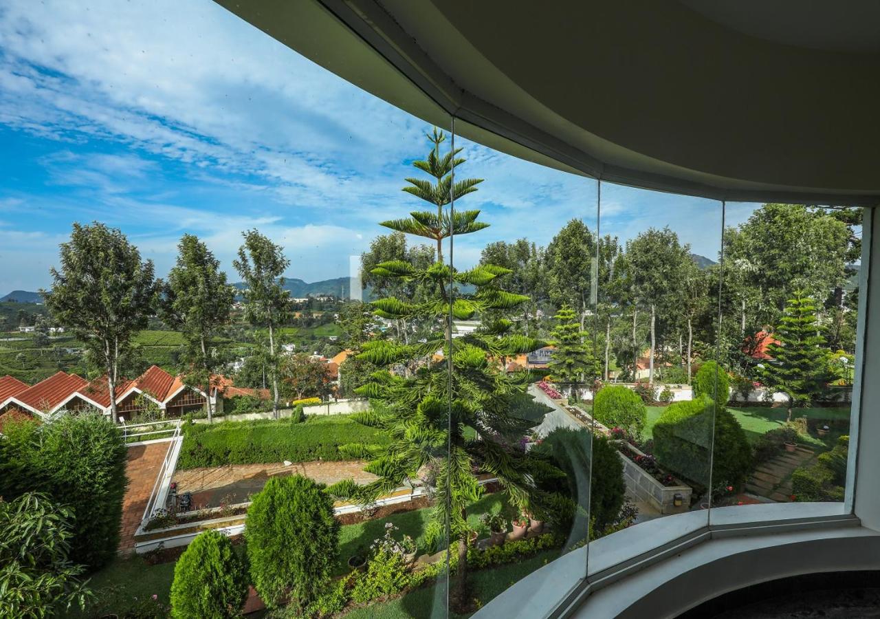 Twin Tree view 5