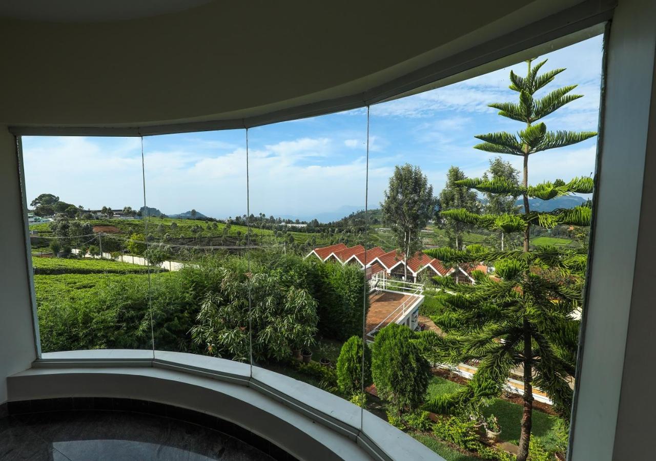 Twin Tree view 4