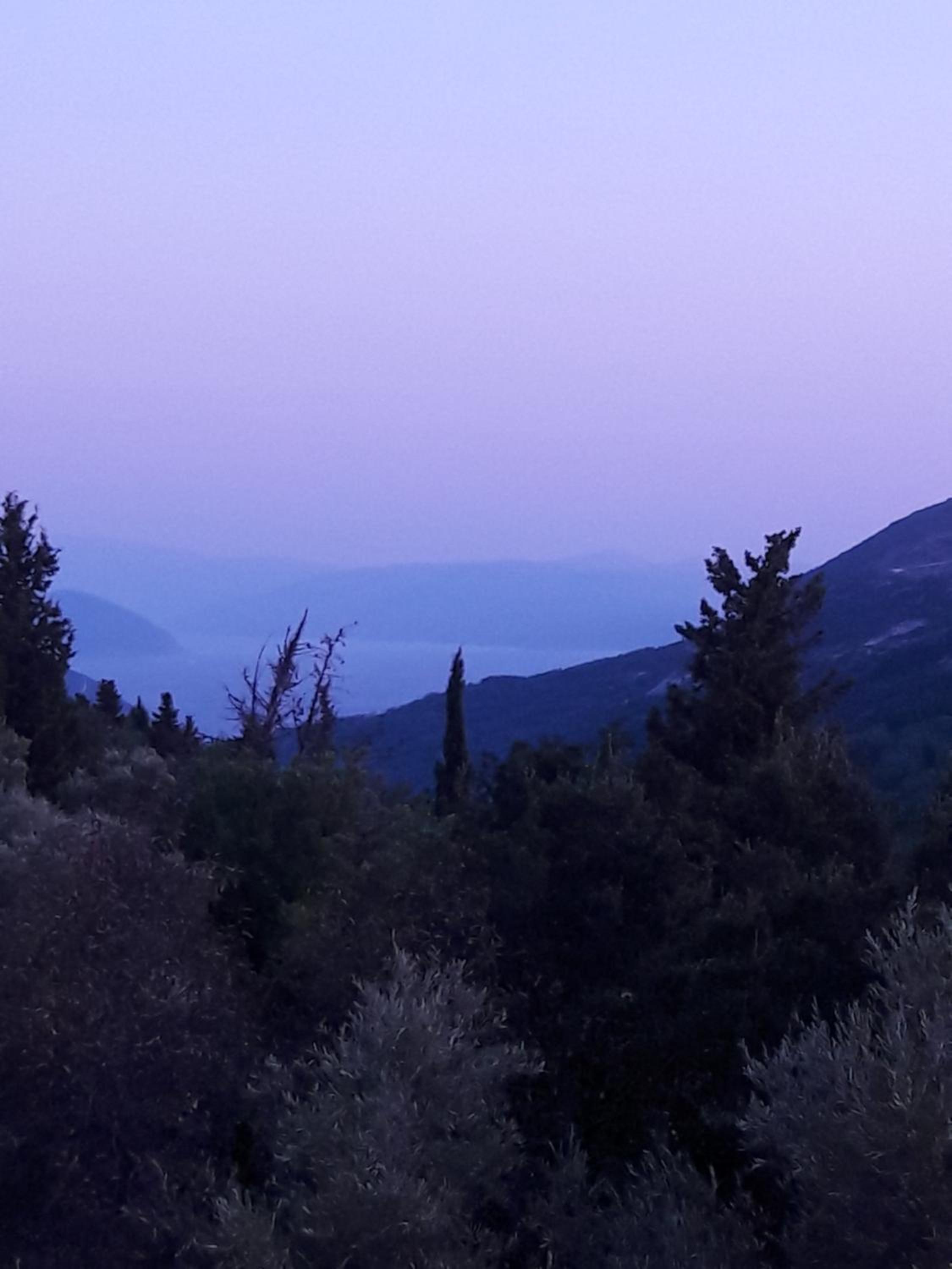 Alexia's house view 4