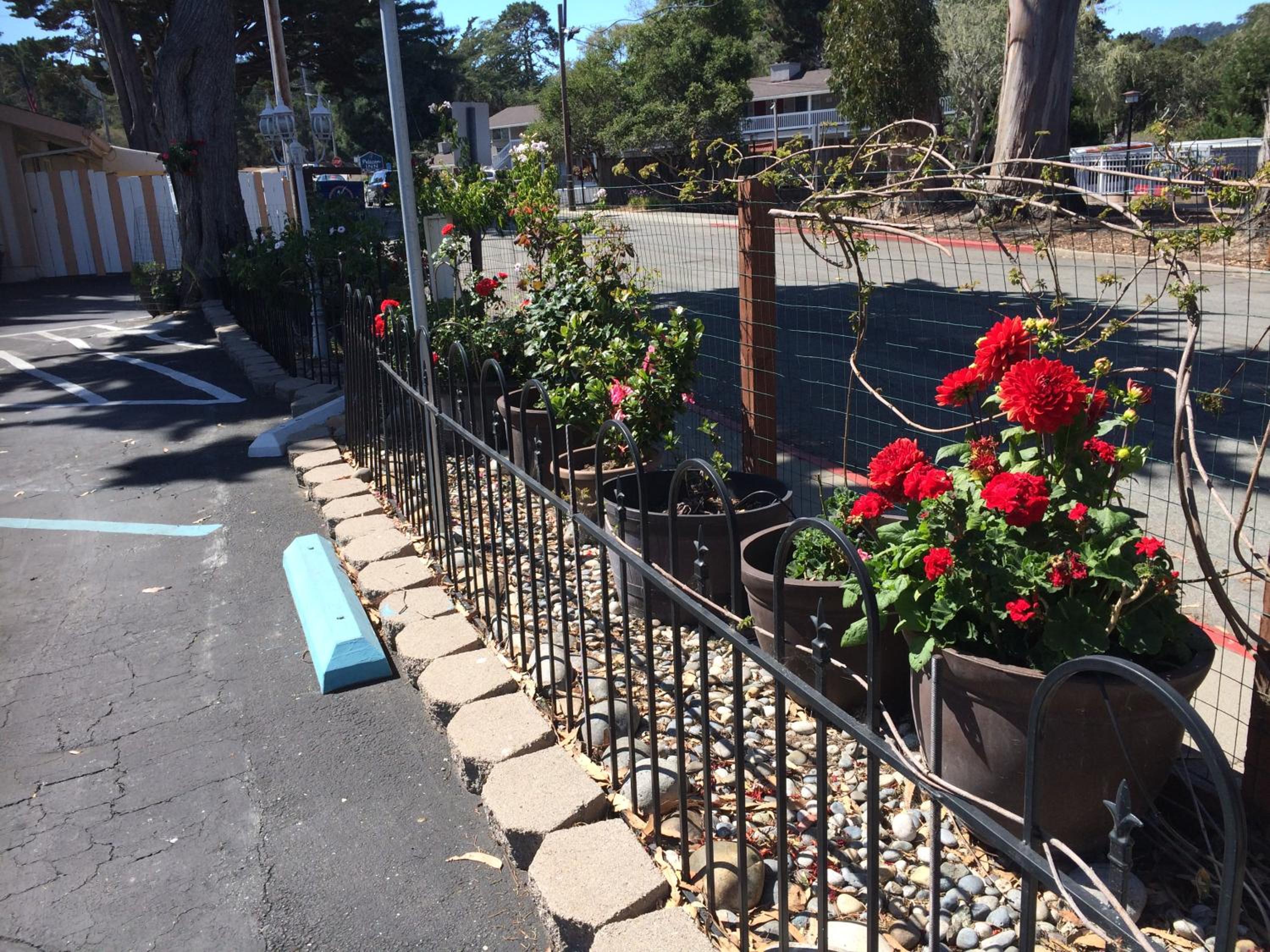 Monterey Vacations - Americas Best Value Presidents Inn on Munras - Property Image 9