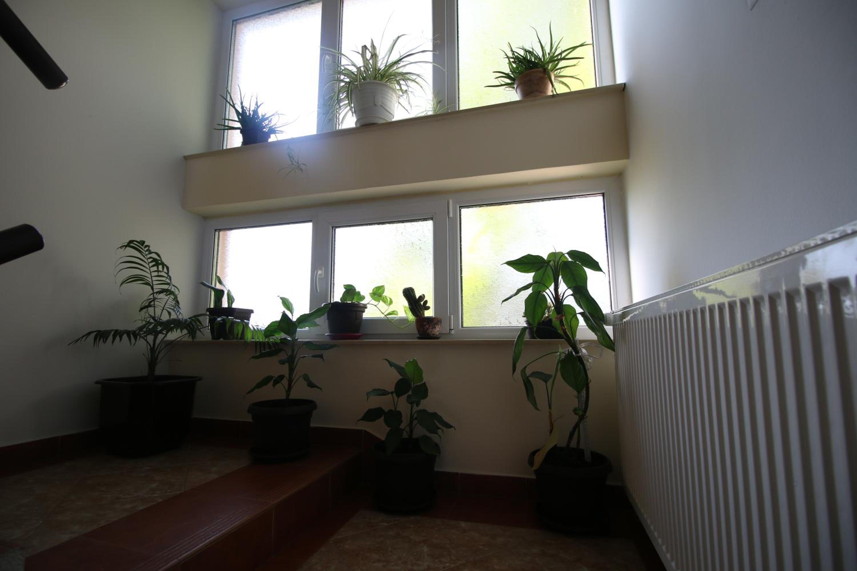 Hostel Teresianum view 5
