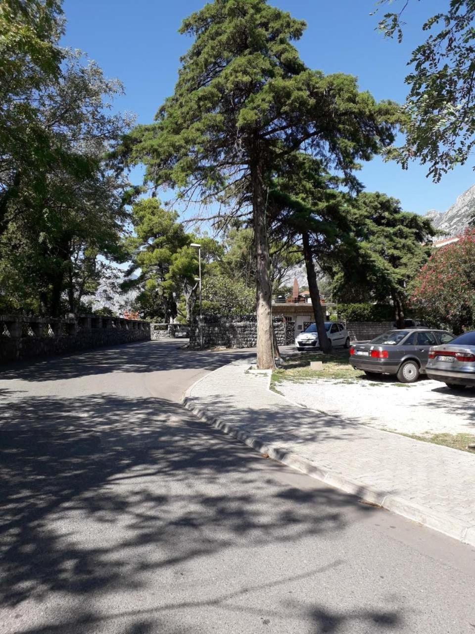 Photo 24