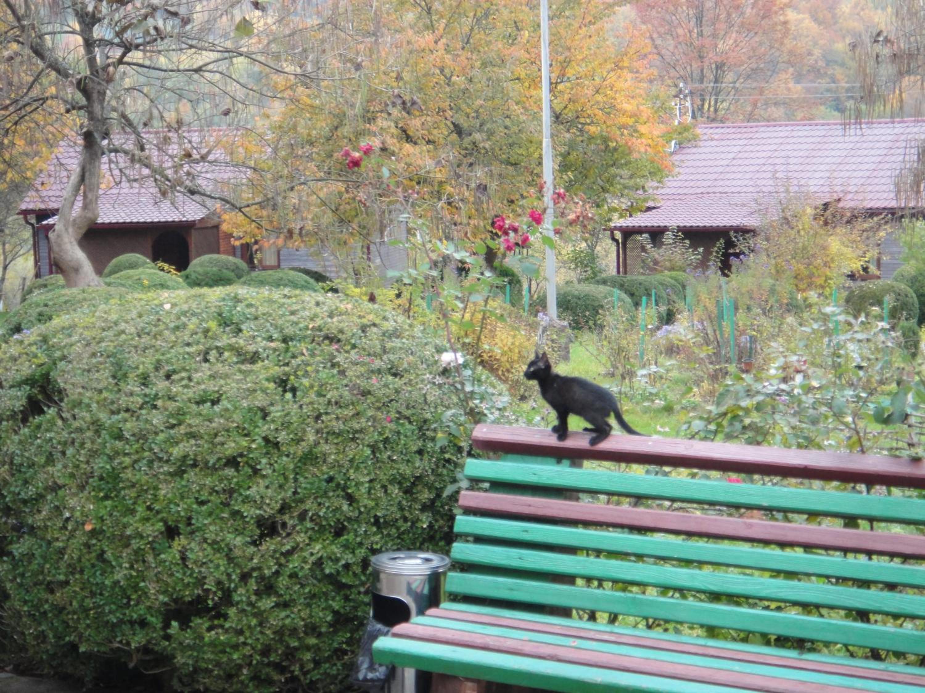 Kvasnyi