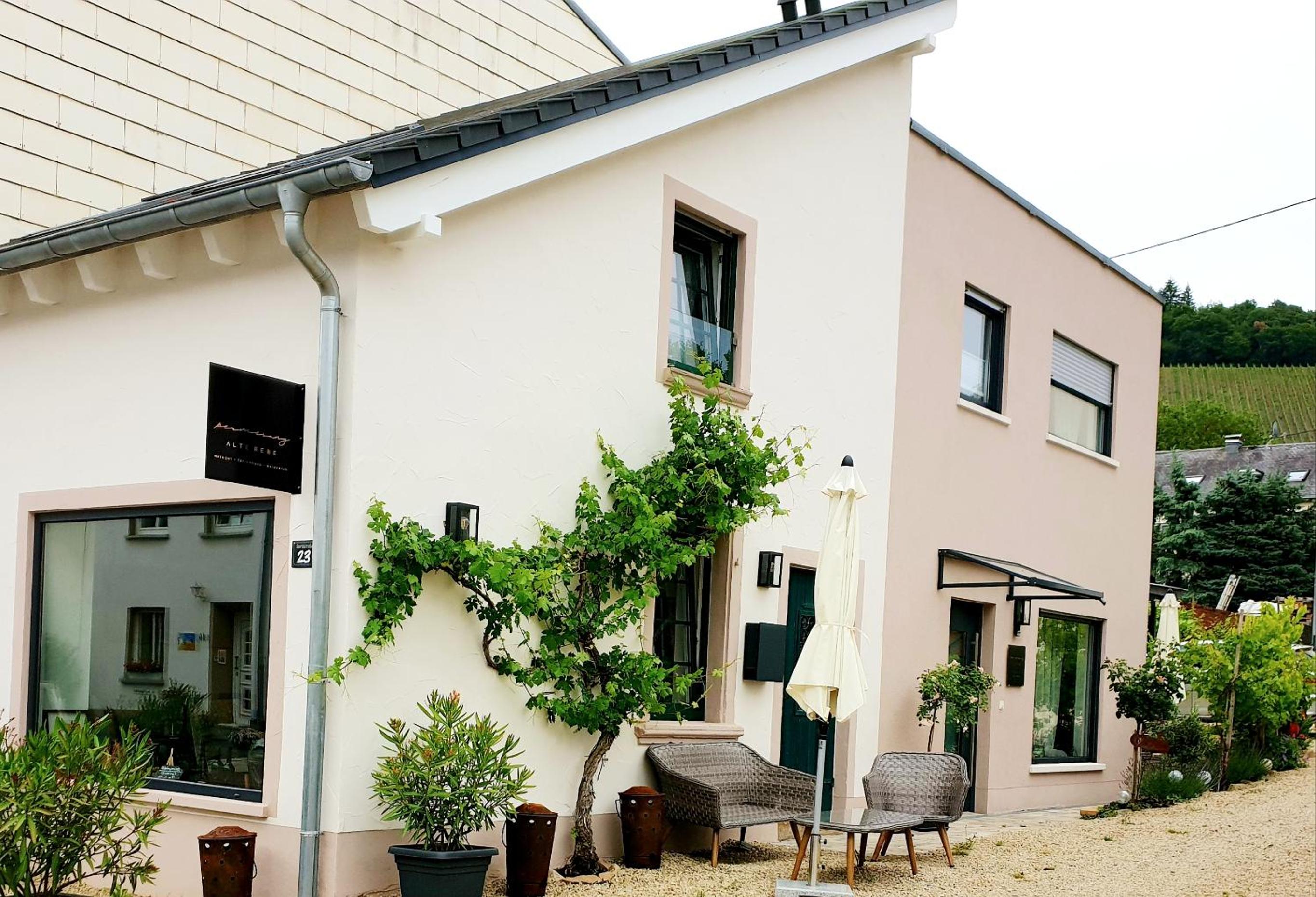 Zur alten Rebe Ferienhaus und Weingut