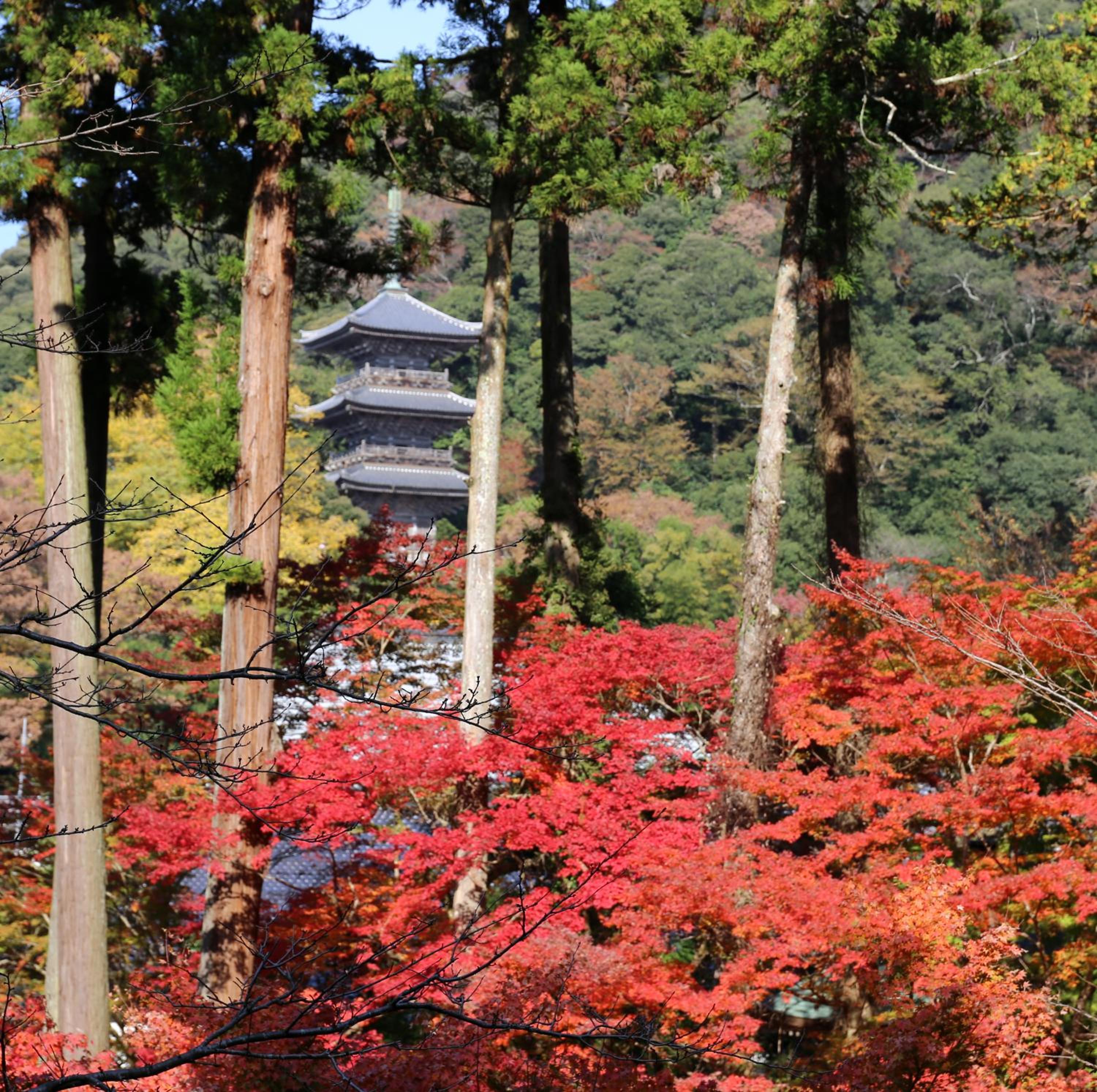 Ryokan Koyokan