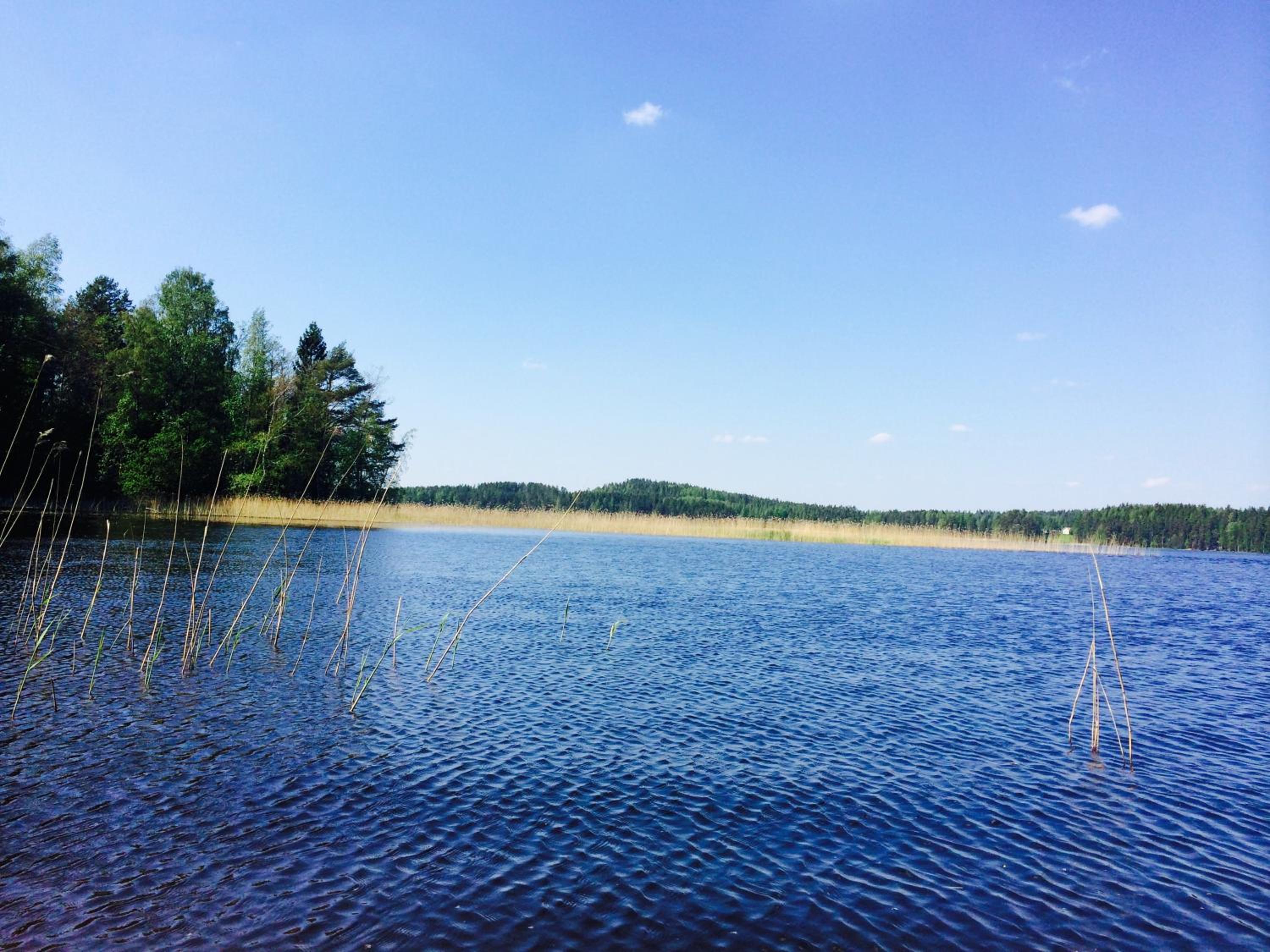 Blueberry Villa at Saimaa Lakeside