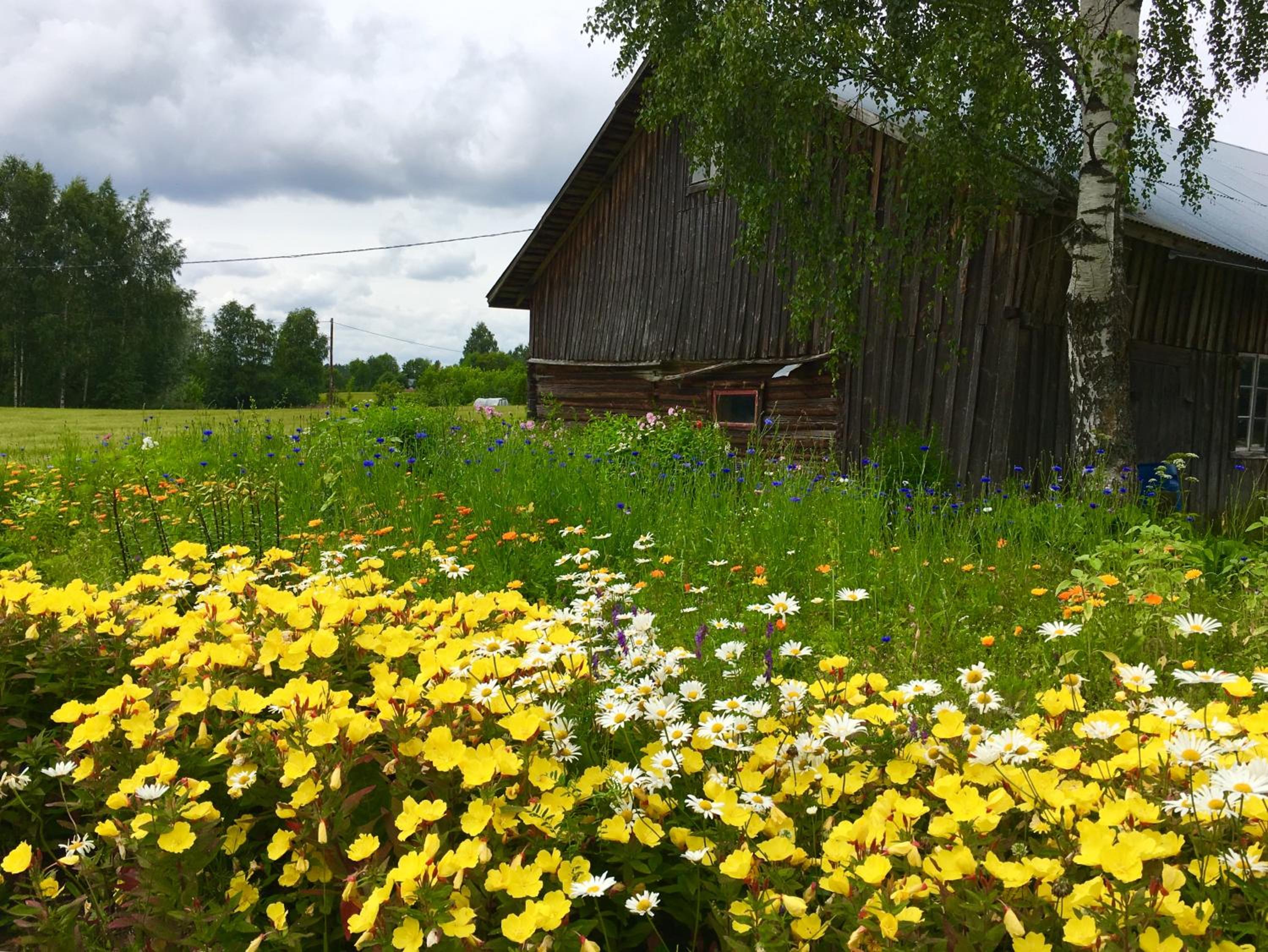 Blueberry Villa at Saimaa Lakeside