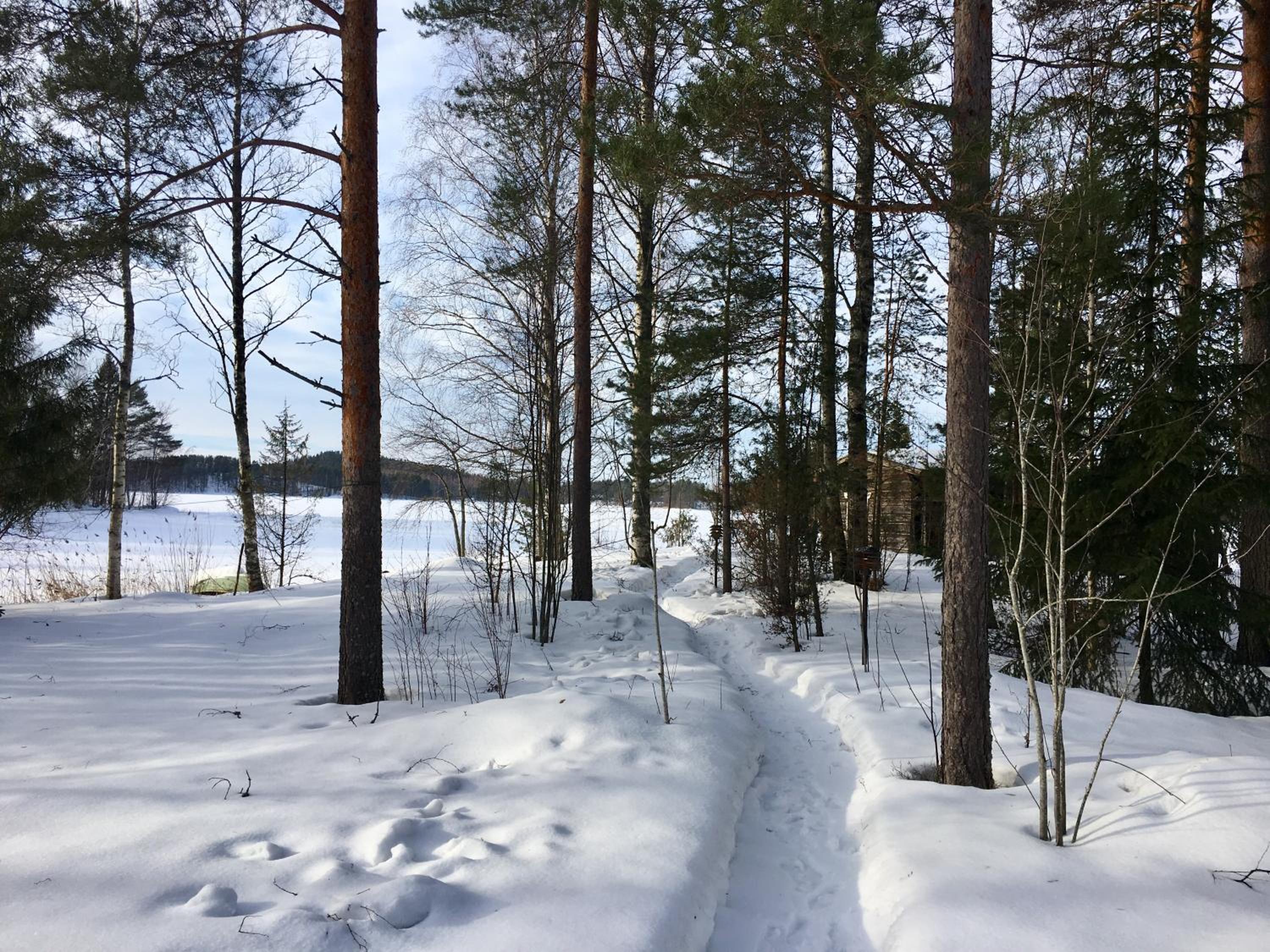 Blueberry Villa at Saimaa Lakeside