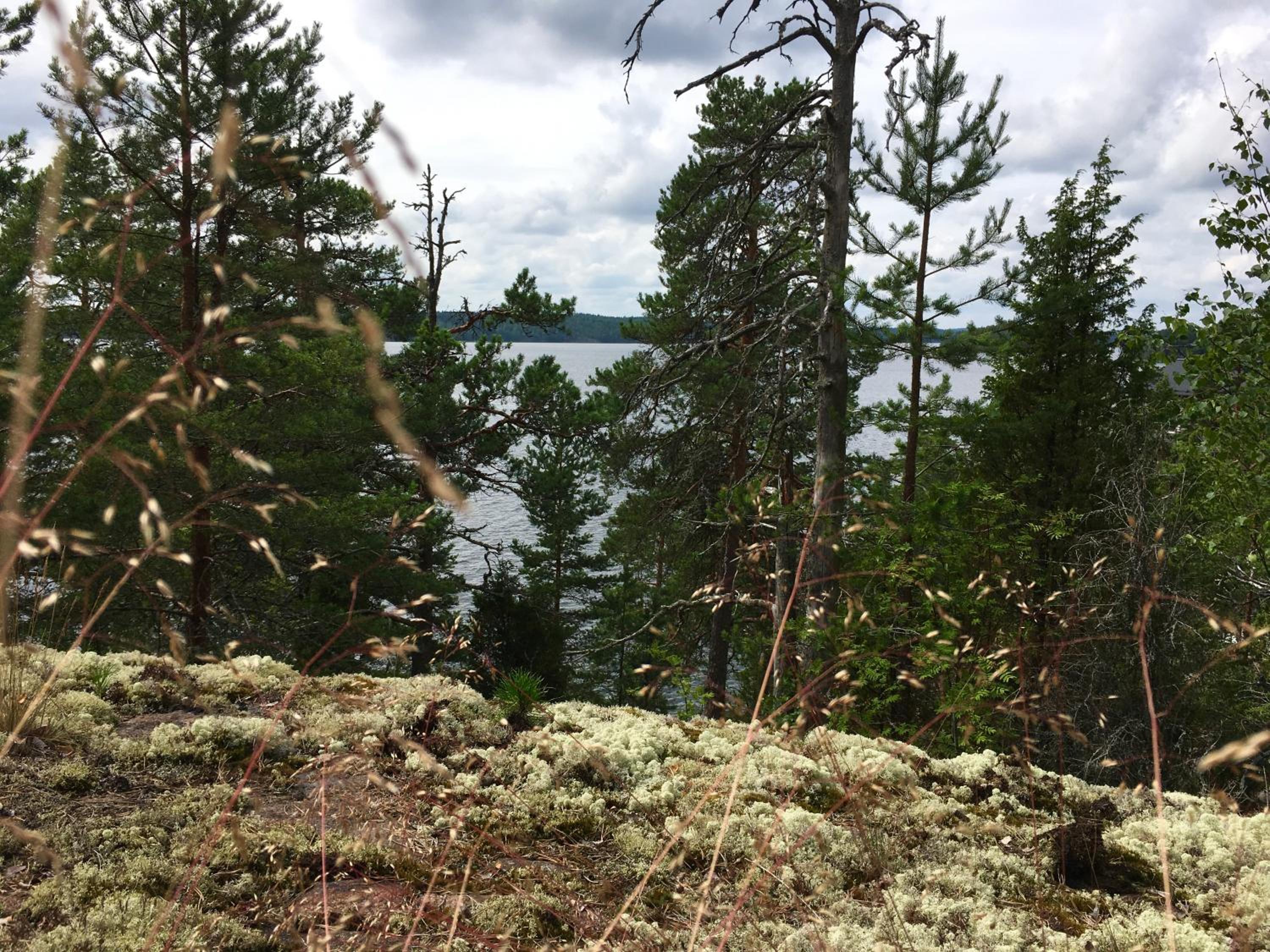 Blueberry Villa at Saimaa Lakeside