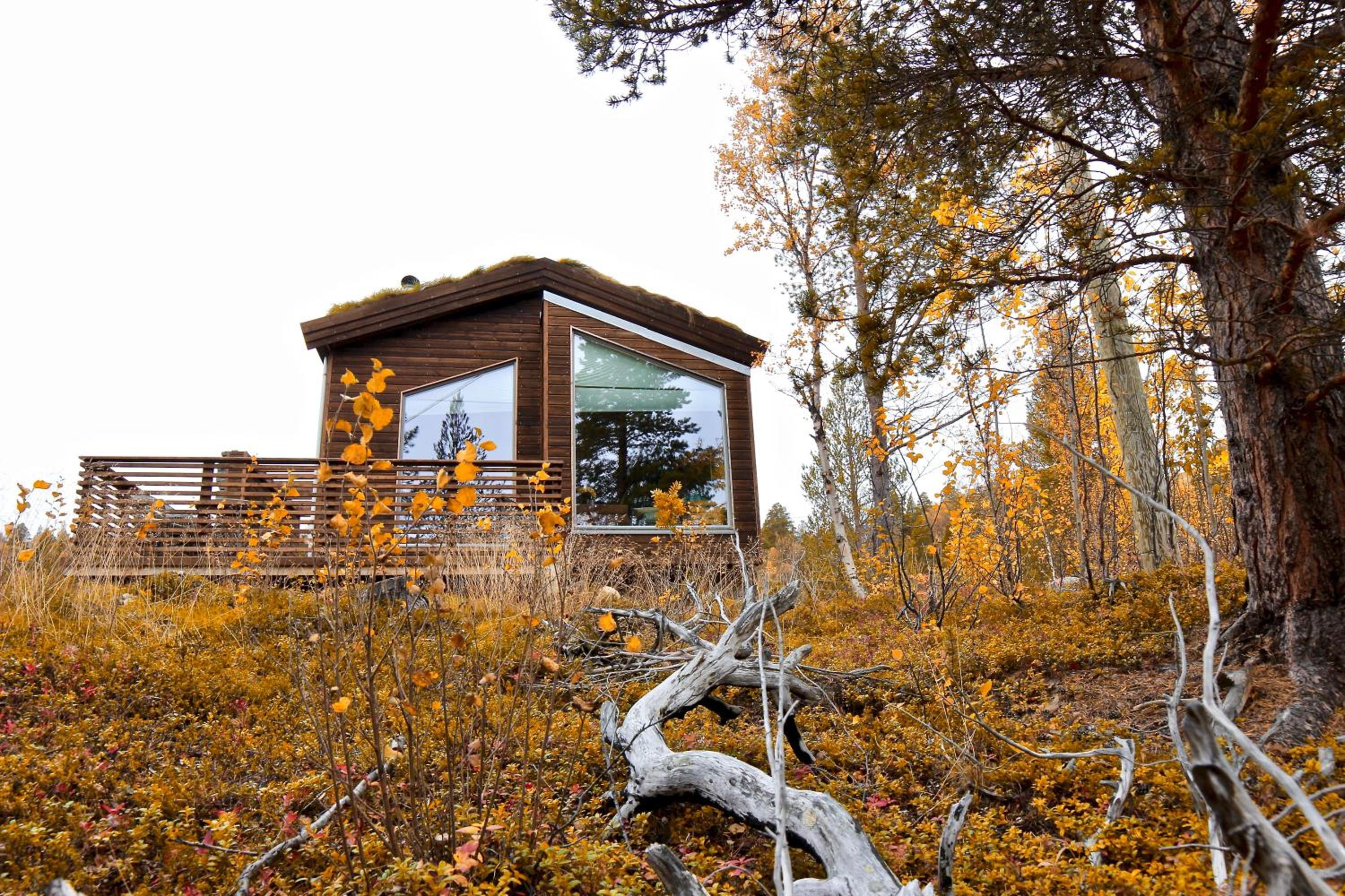 Bjørnfjell Mountain Lodge