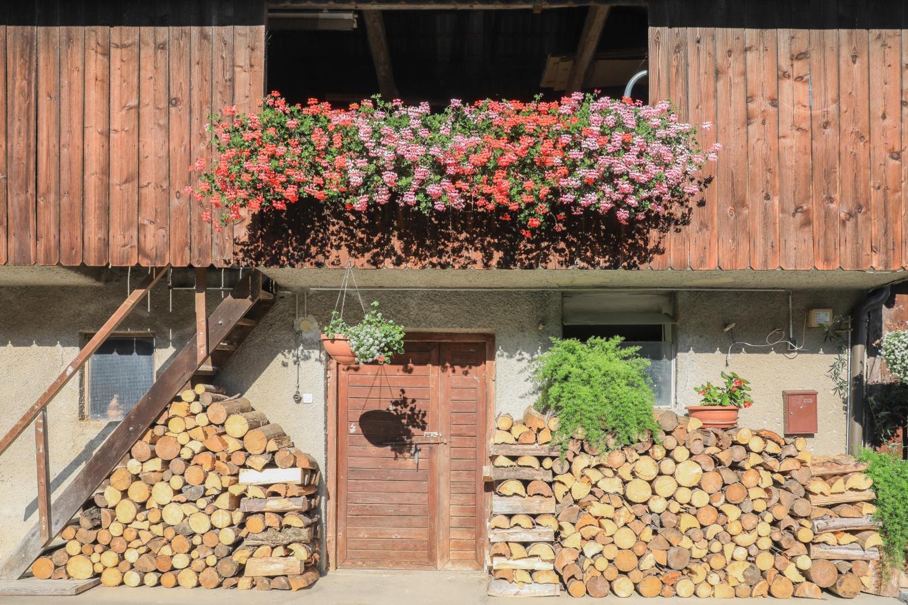 Apartment Krnicar