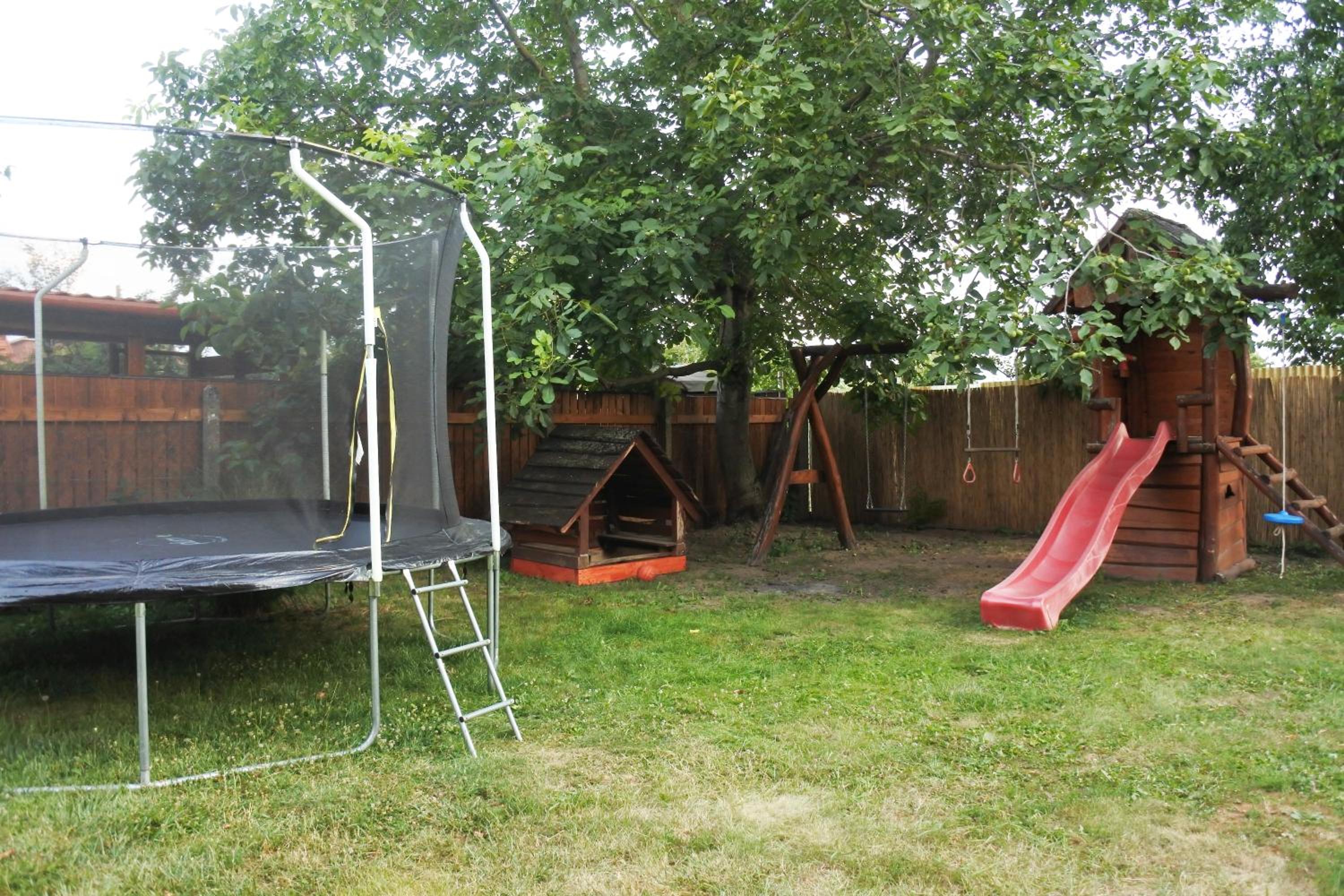 Photo 23