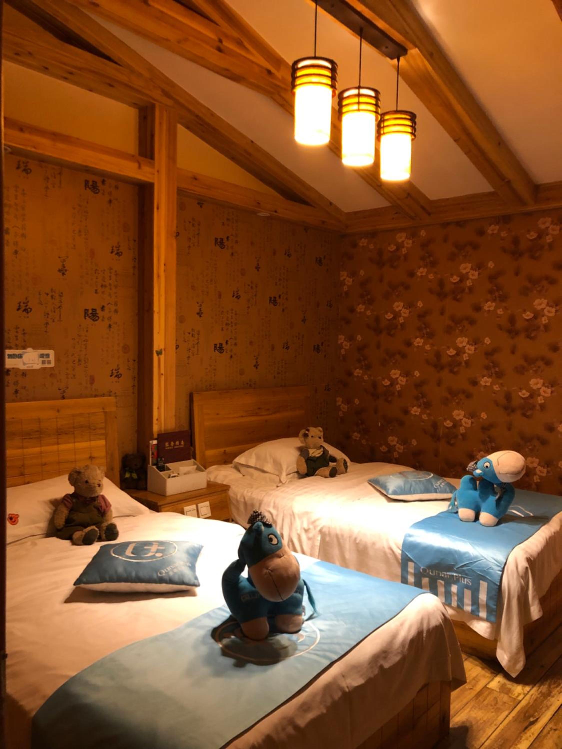 Mount Emei Teddy Bear Hotel玩具熊酒店