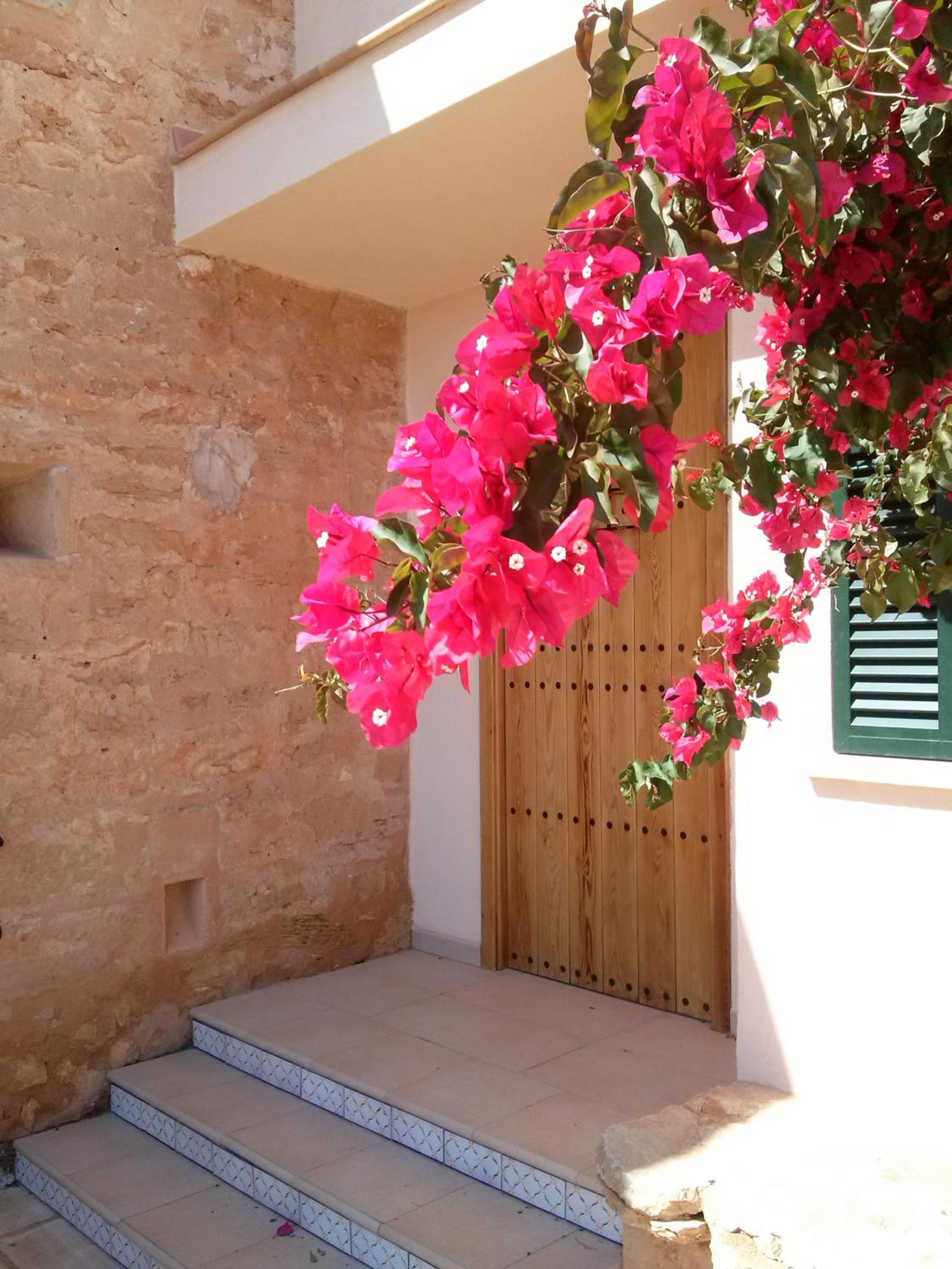 Son Coves Petit