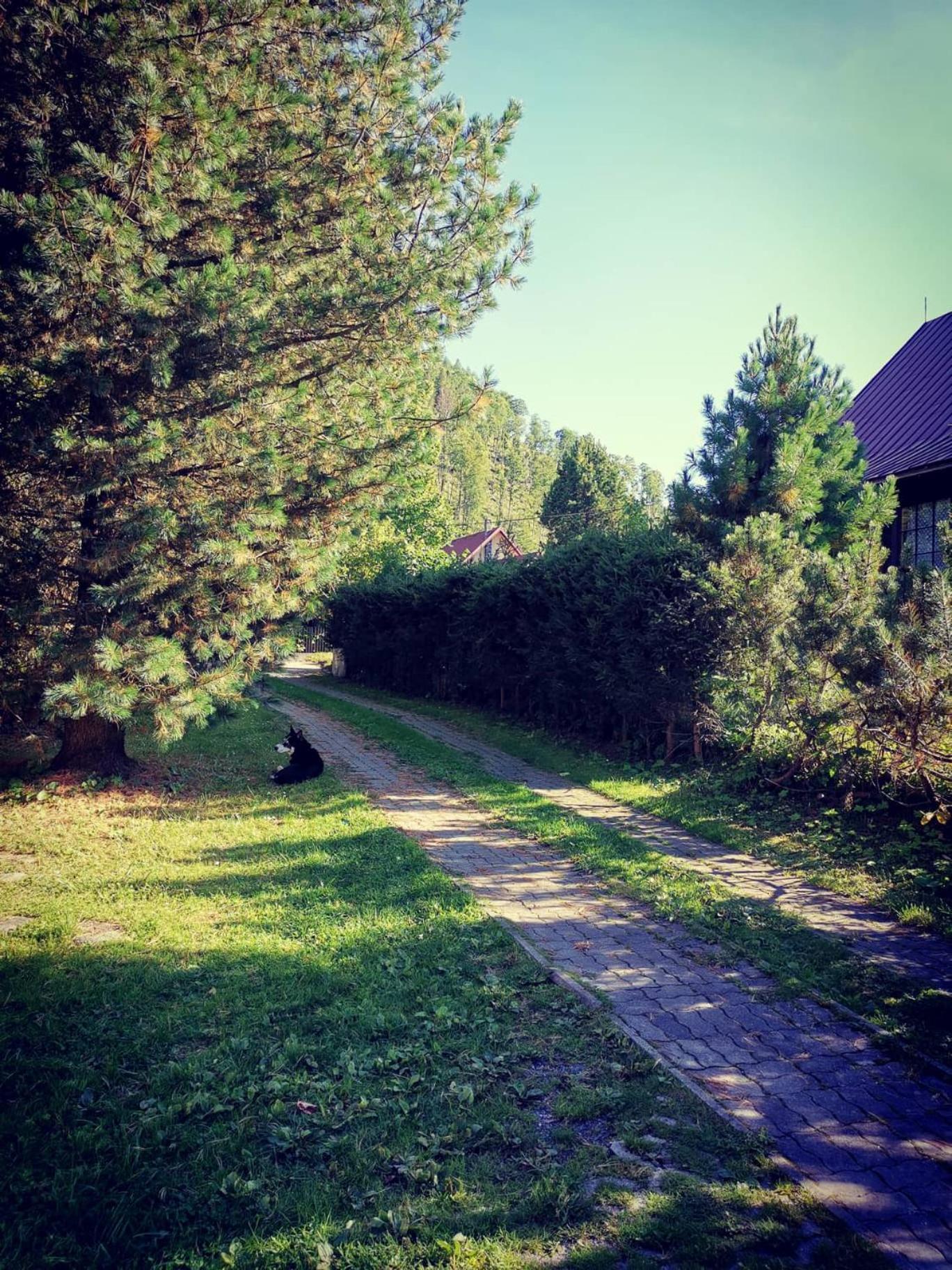 Photo 50