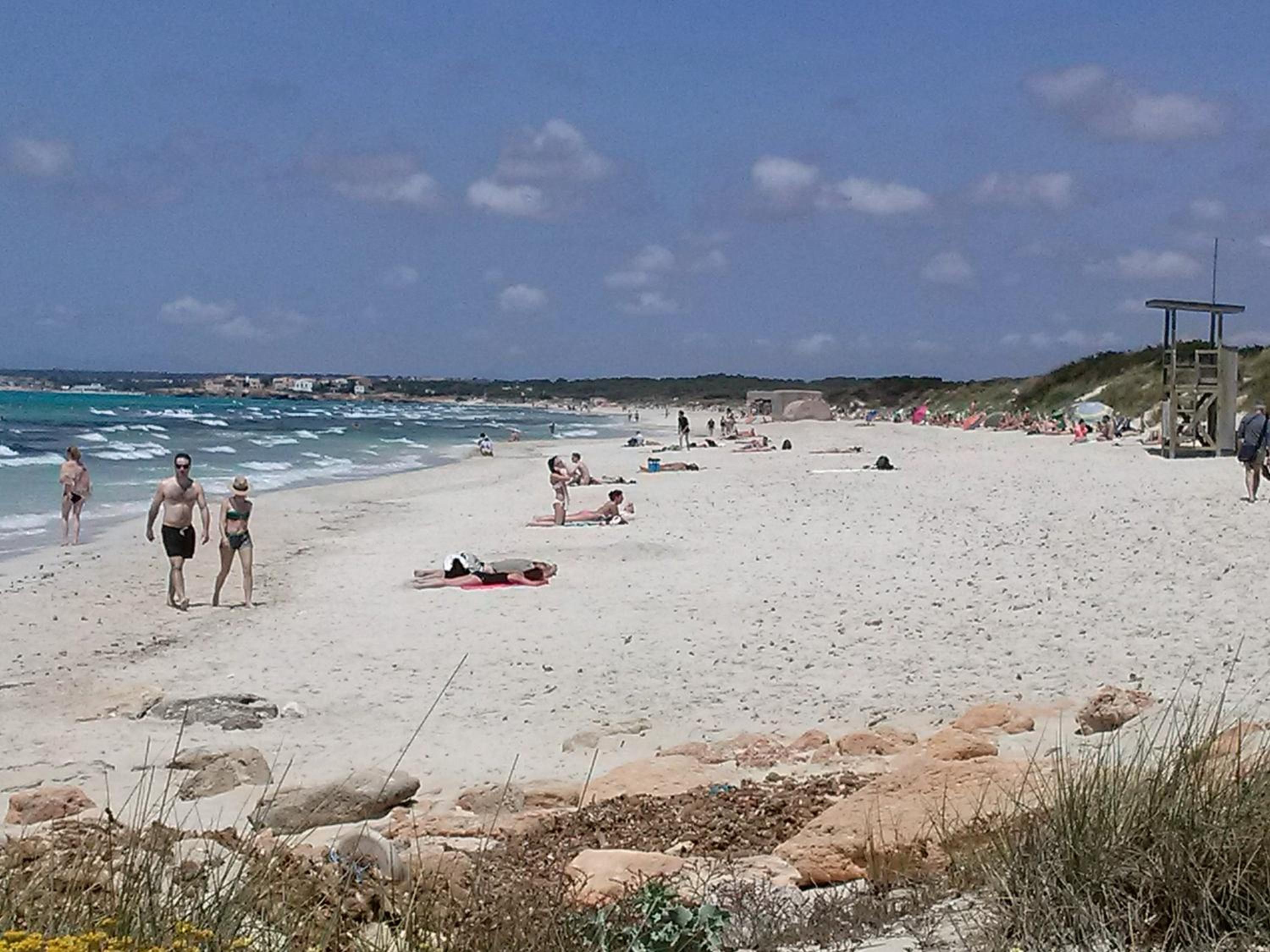 Son Coves Petit