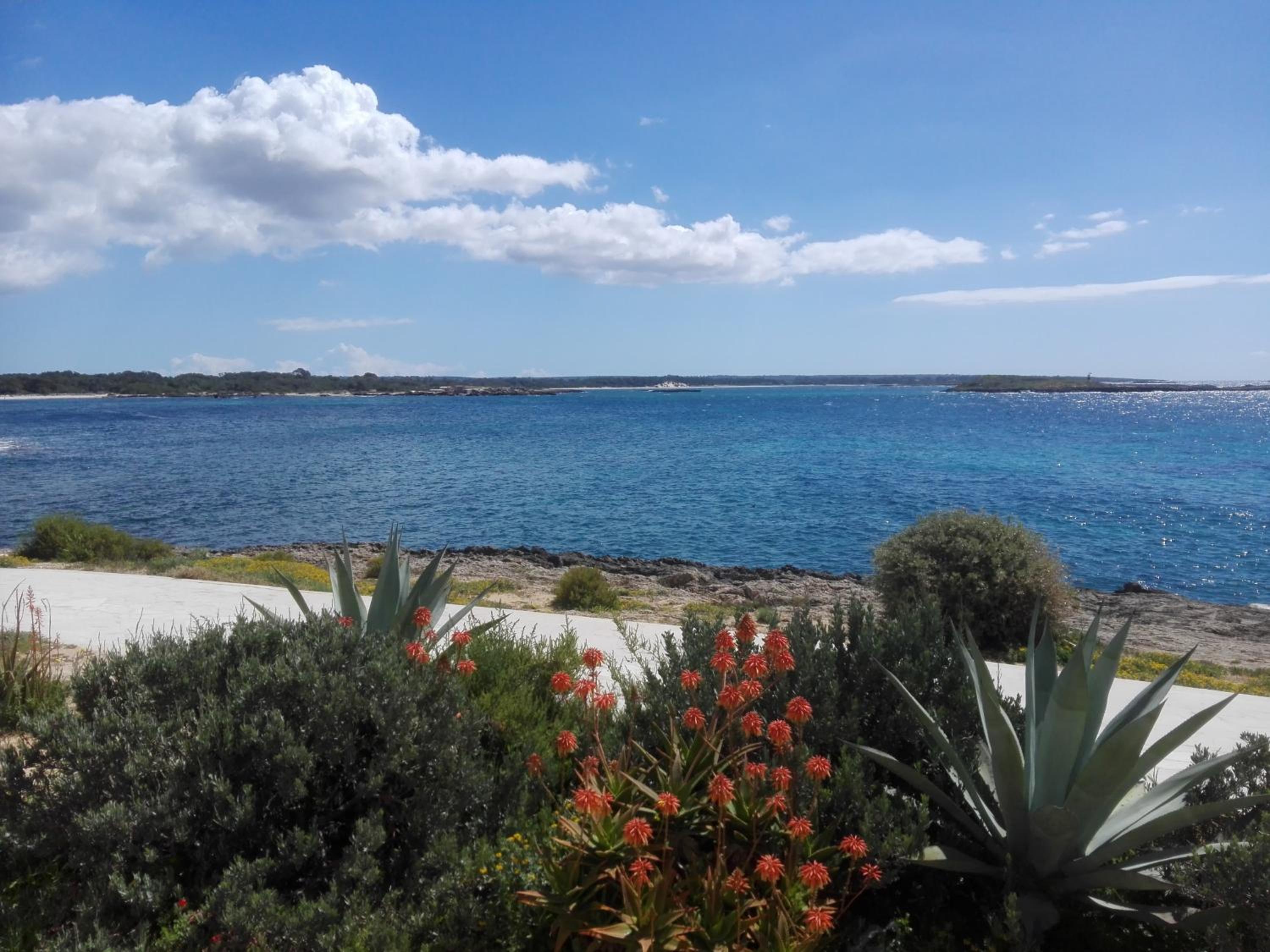 Son Coves Petit