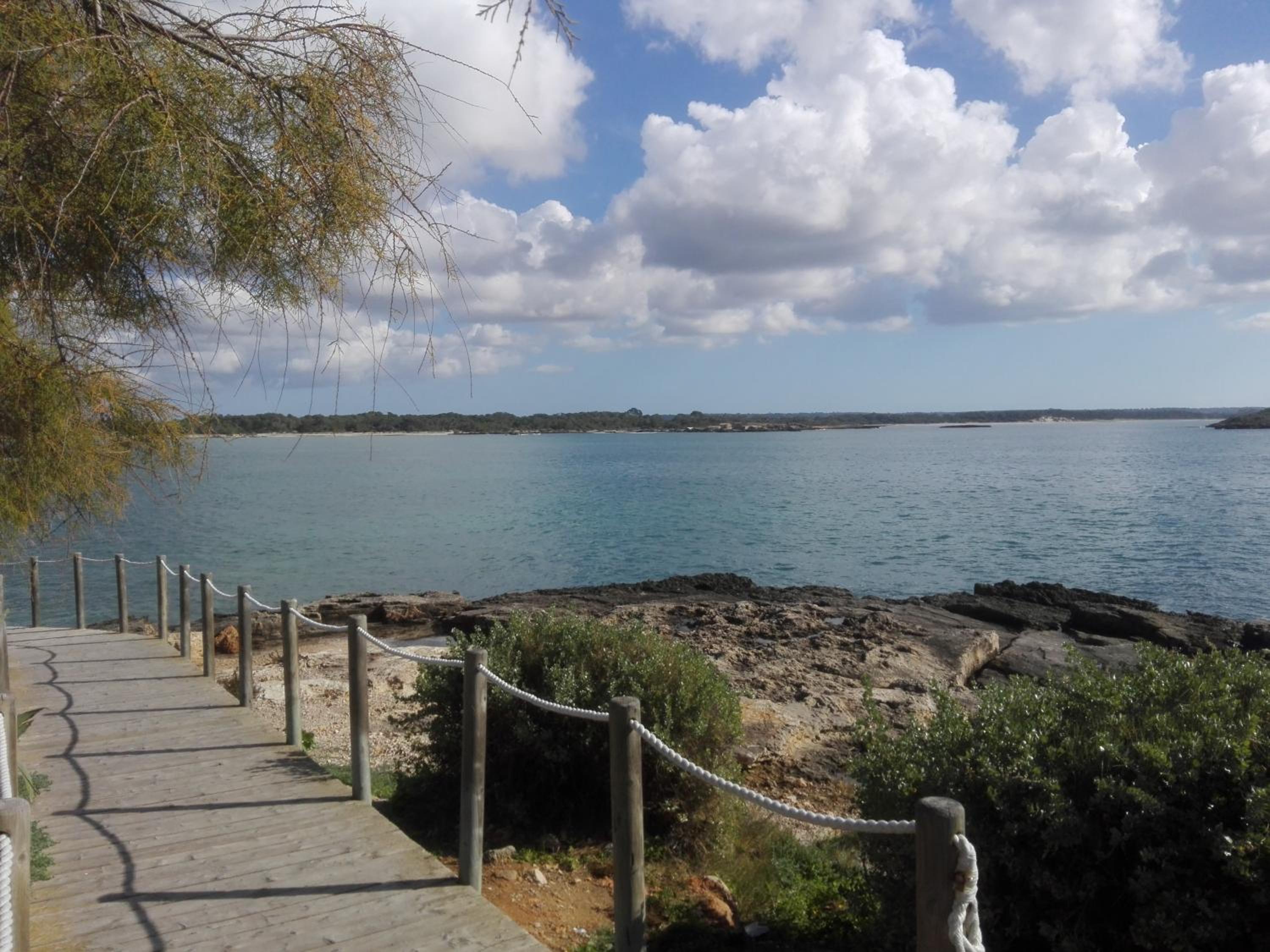 Son Coves Petit