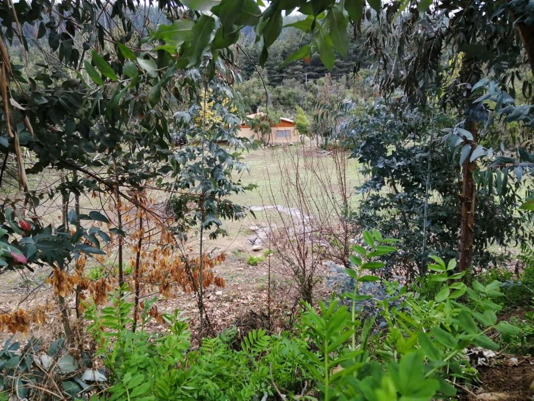 Photo 22