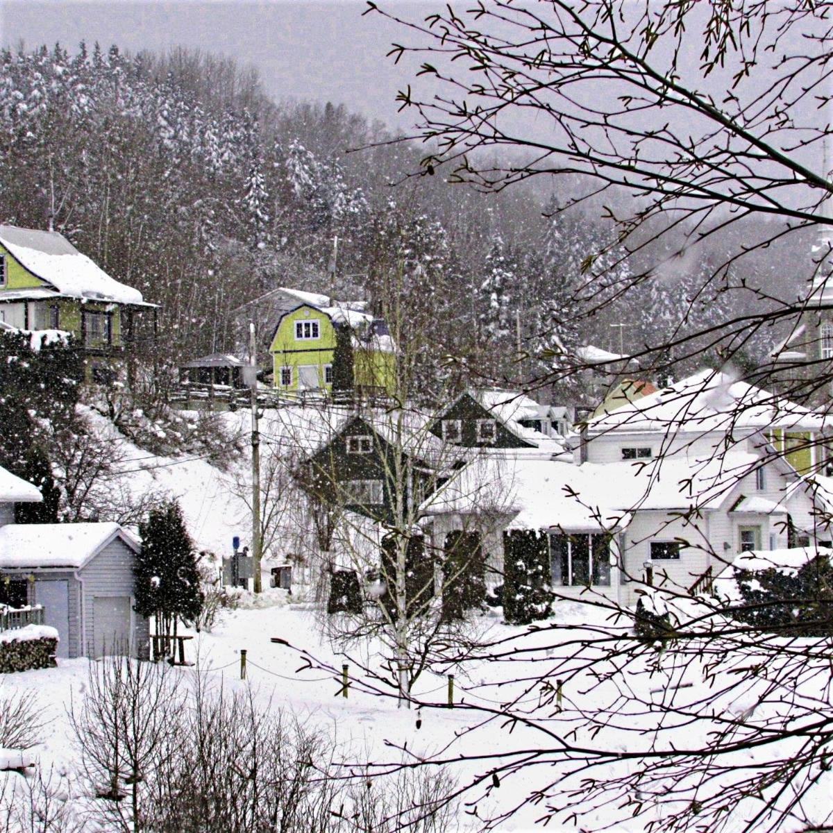 Panoramique du Fjord