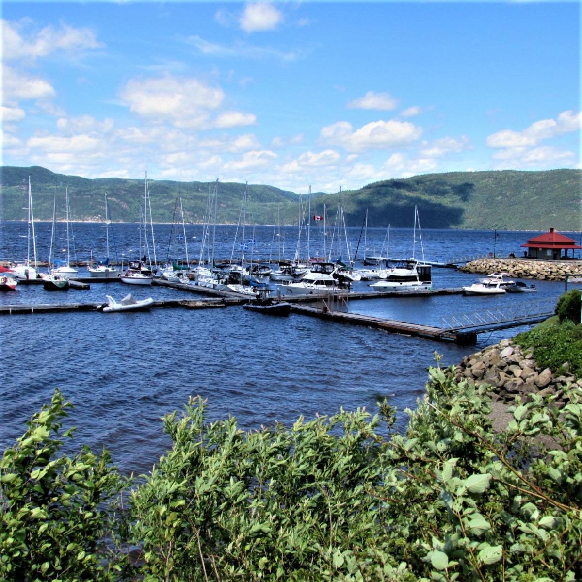 Panoramique du Fjord