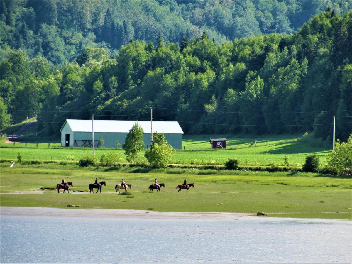 Panoramique du Fjord