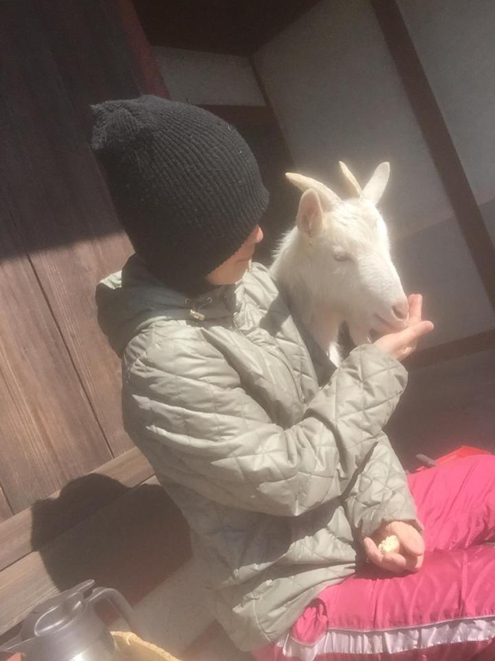 human