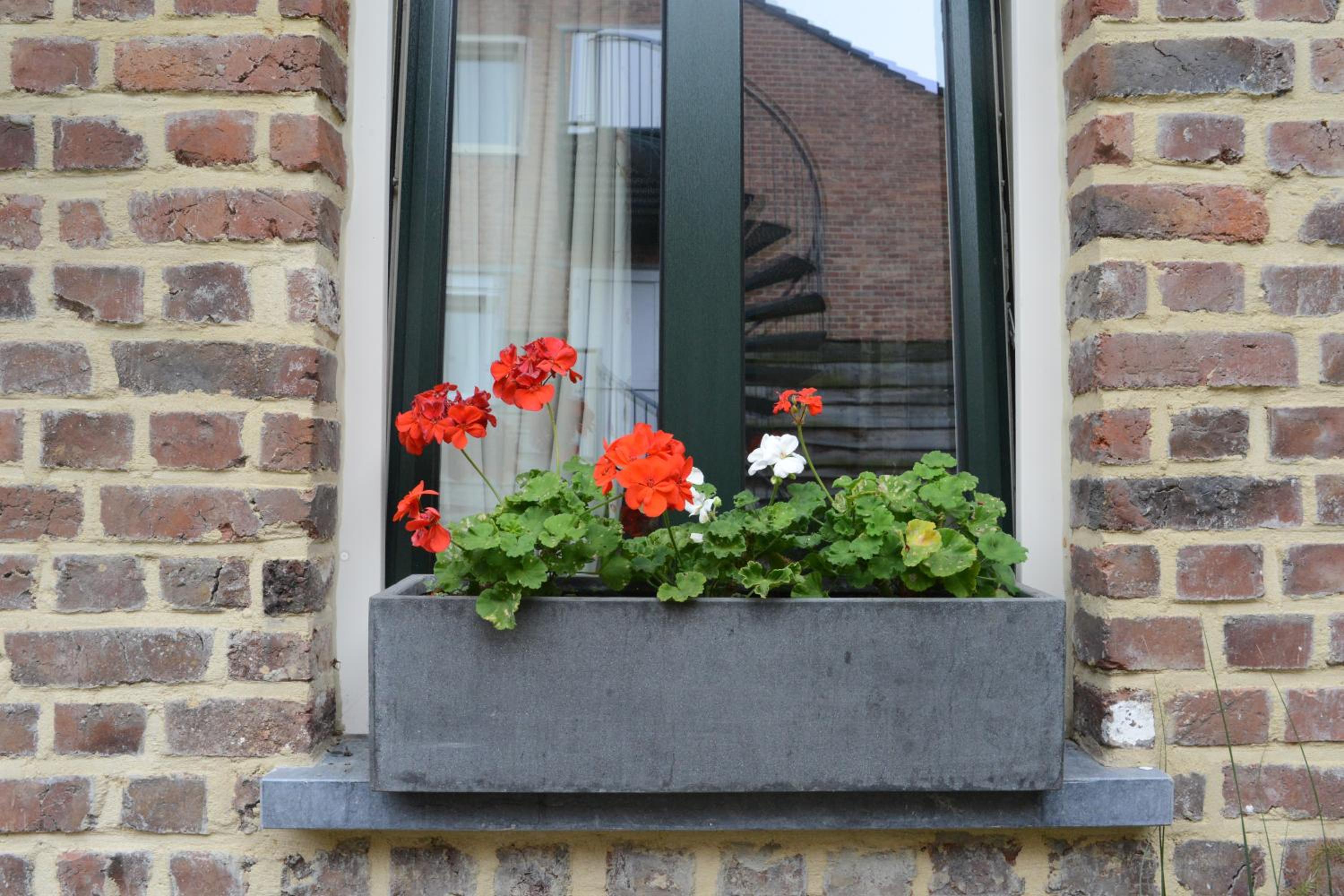Vakantie Logies de Kleine Motte