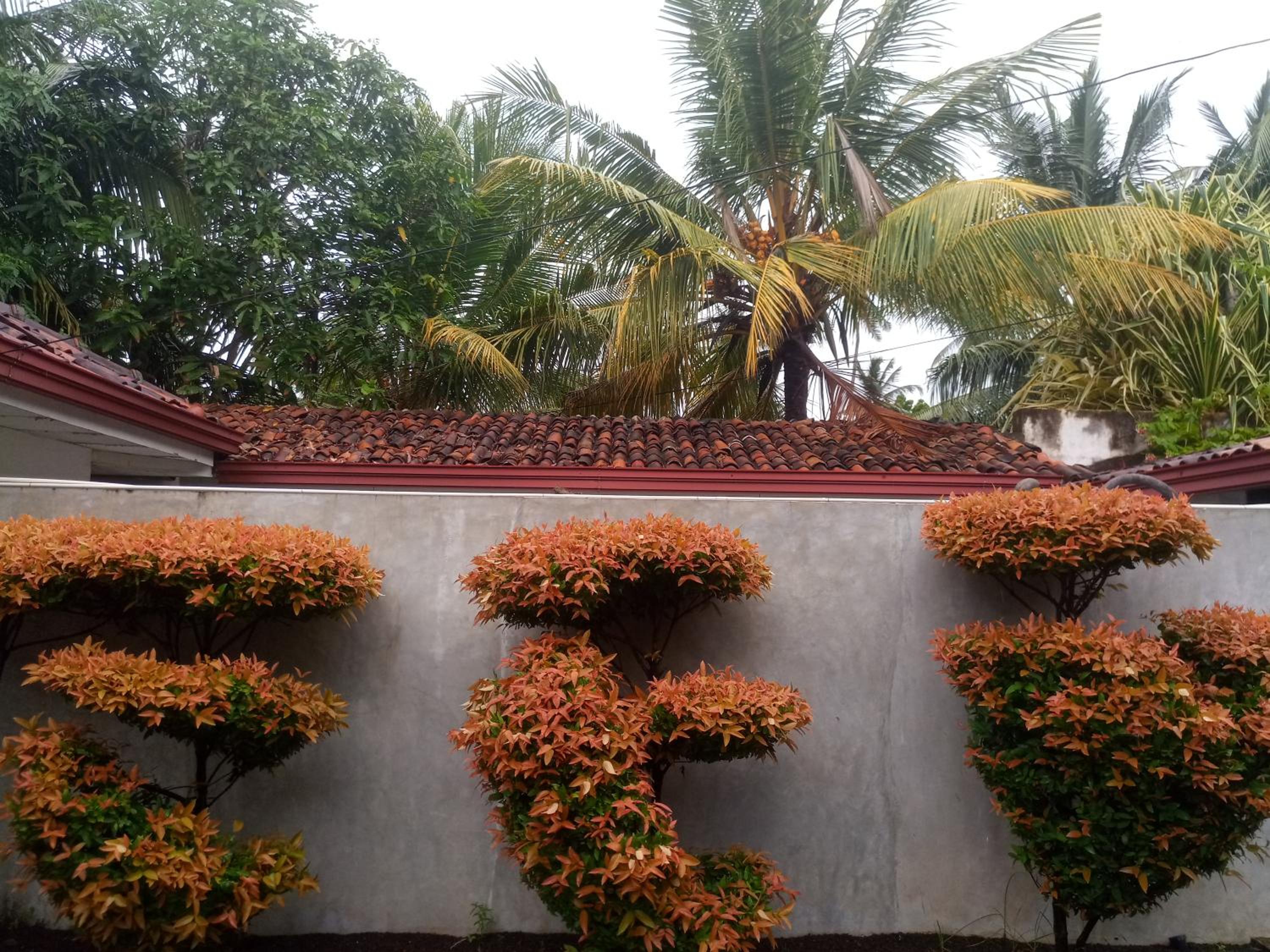 Villa Tangalle Lagoon