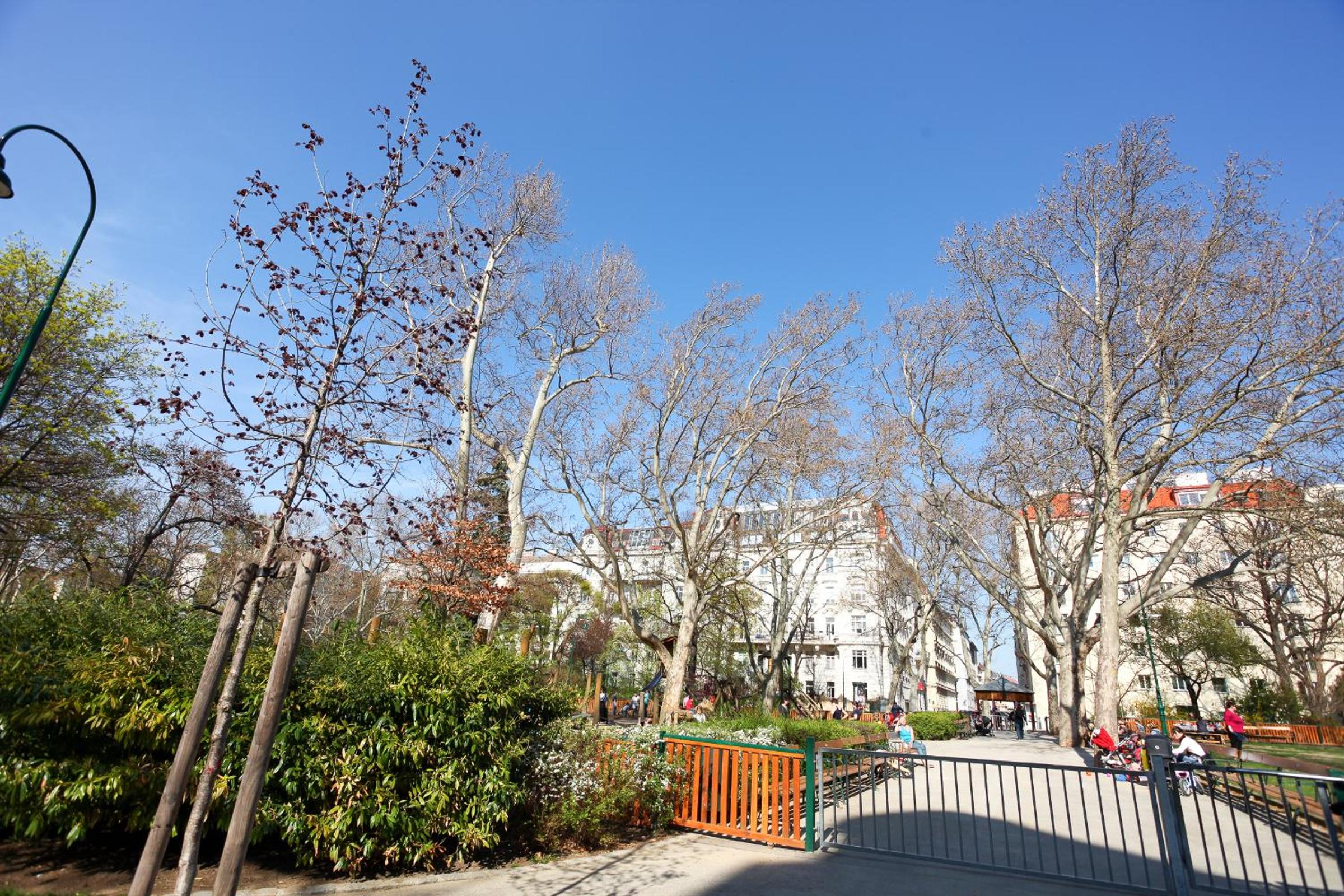 Lovely Apartment I Close to Main Station I 10 Minutes to Belvedere