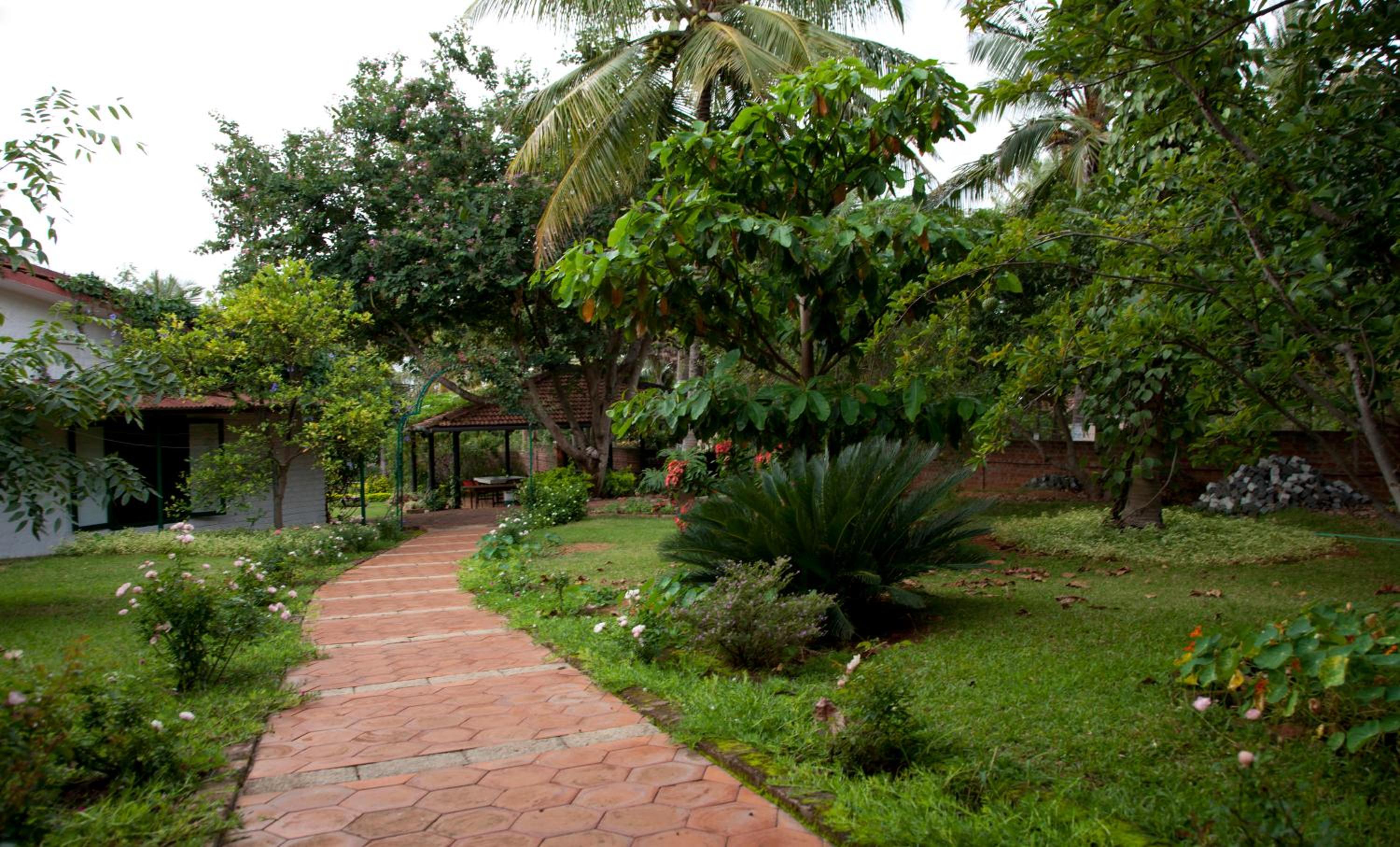 Gitanjali Homestay view 3