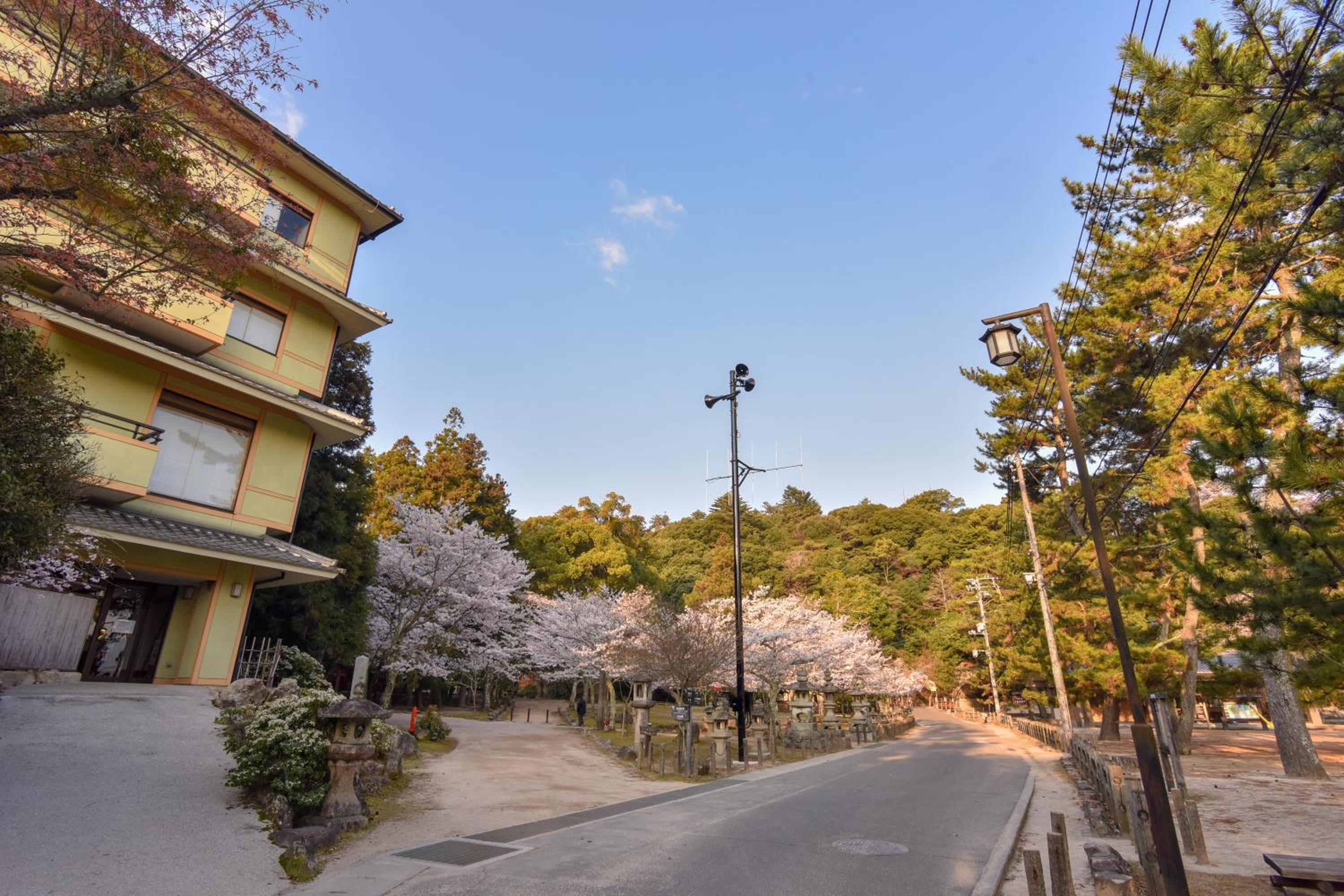 Miyajima Morinoyado
