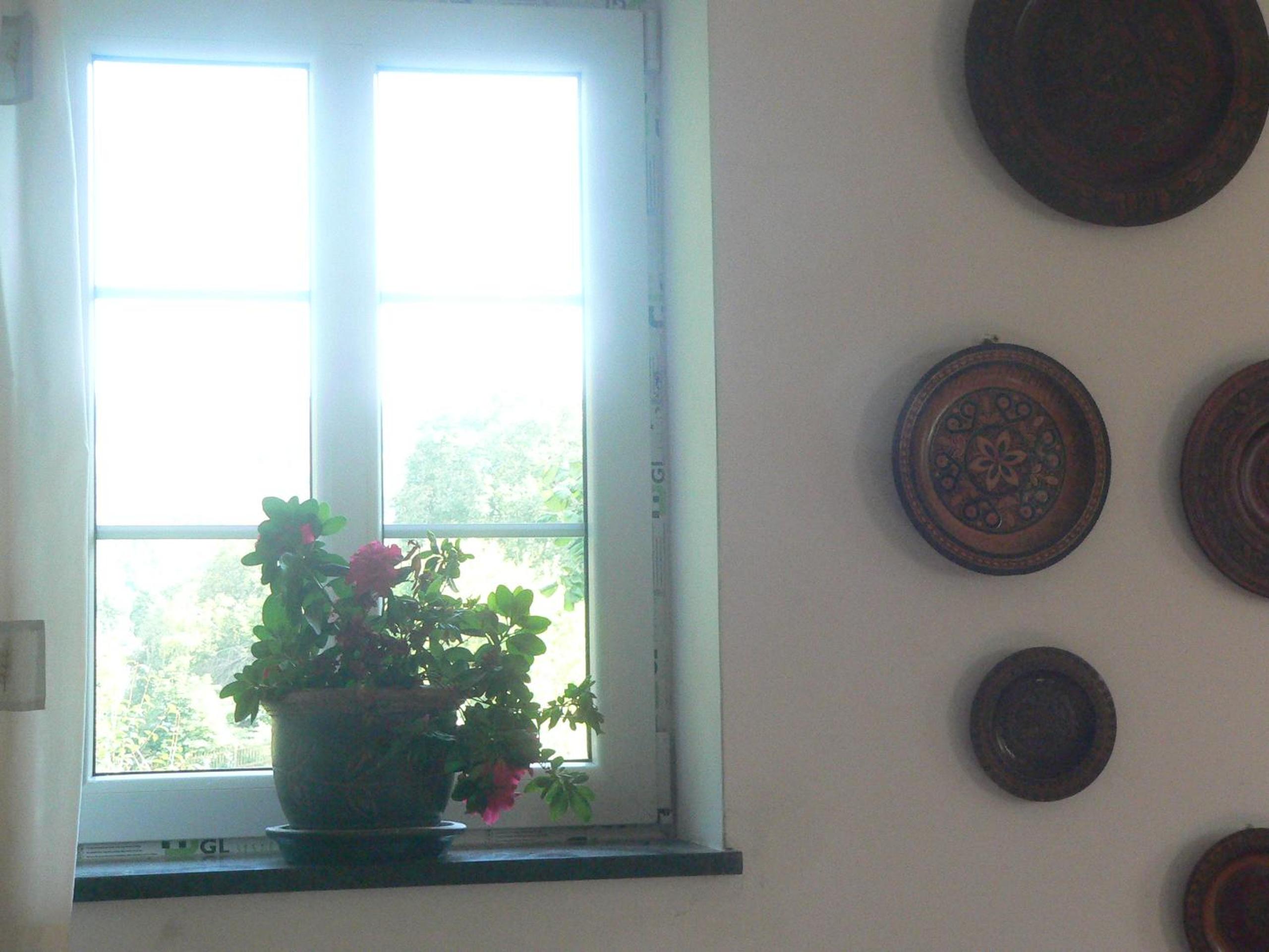 STARA PLEBANIA view 5