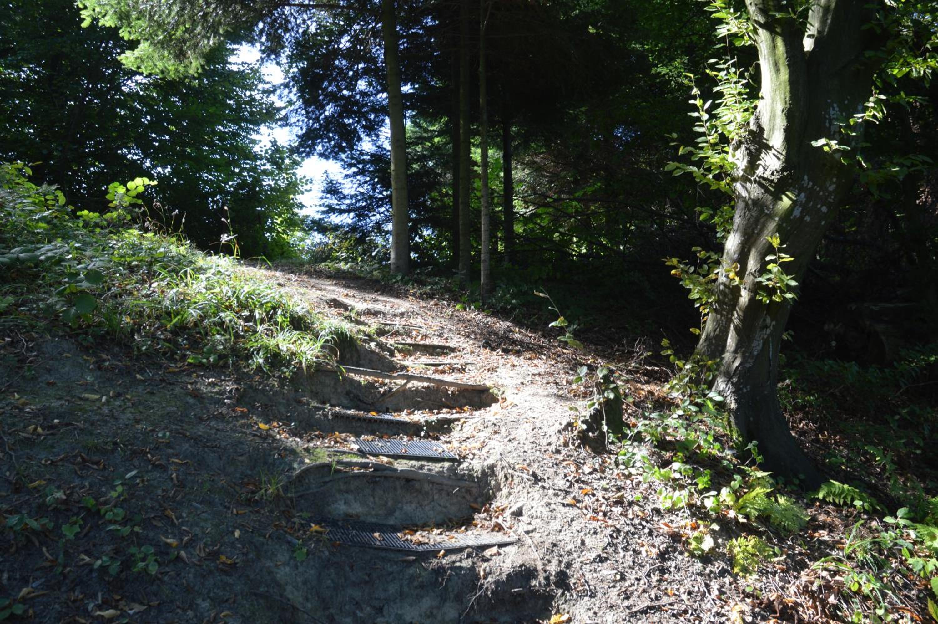 Photo 44